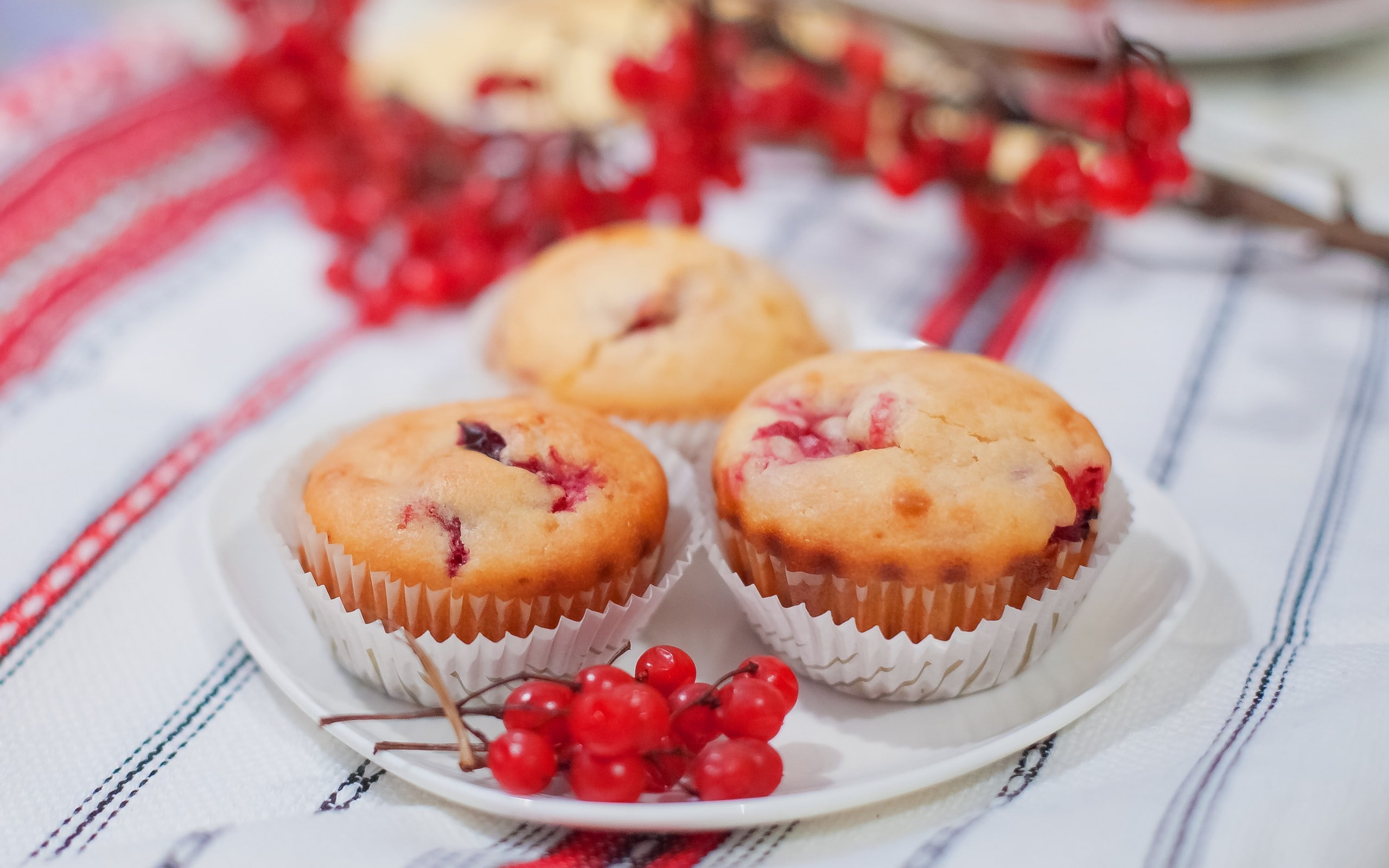 food, red currant, dessert, fruit, 2K, cupcakes, depth of field, HD Wallpaper