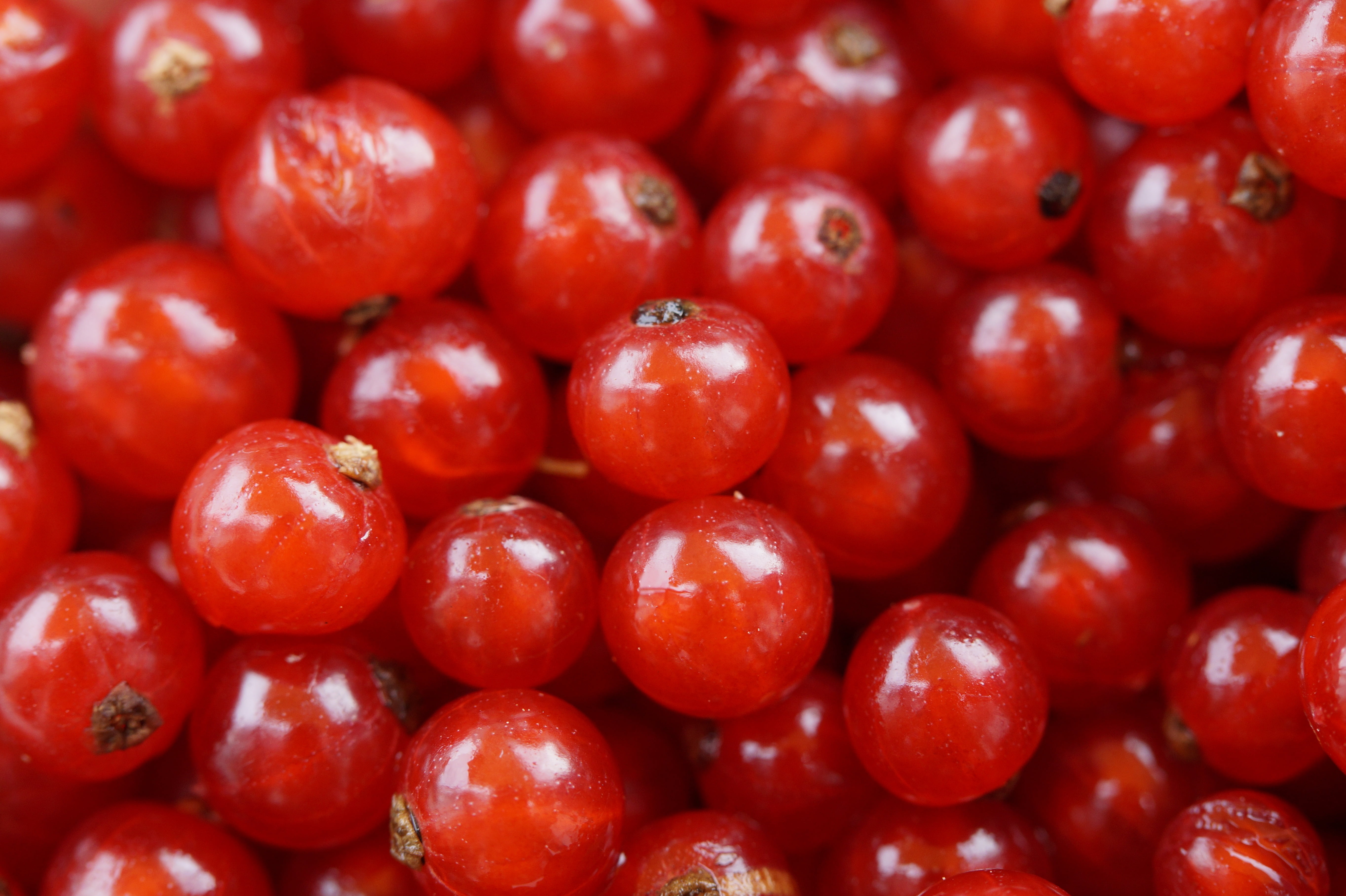 heap, gourmet, macro, berry, cherry, tomato, group of Objects, day, food And Drink, agriculture, fruit, close-up, berry Fruit, ripe, food, 5K, organic, HD Wallpaper