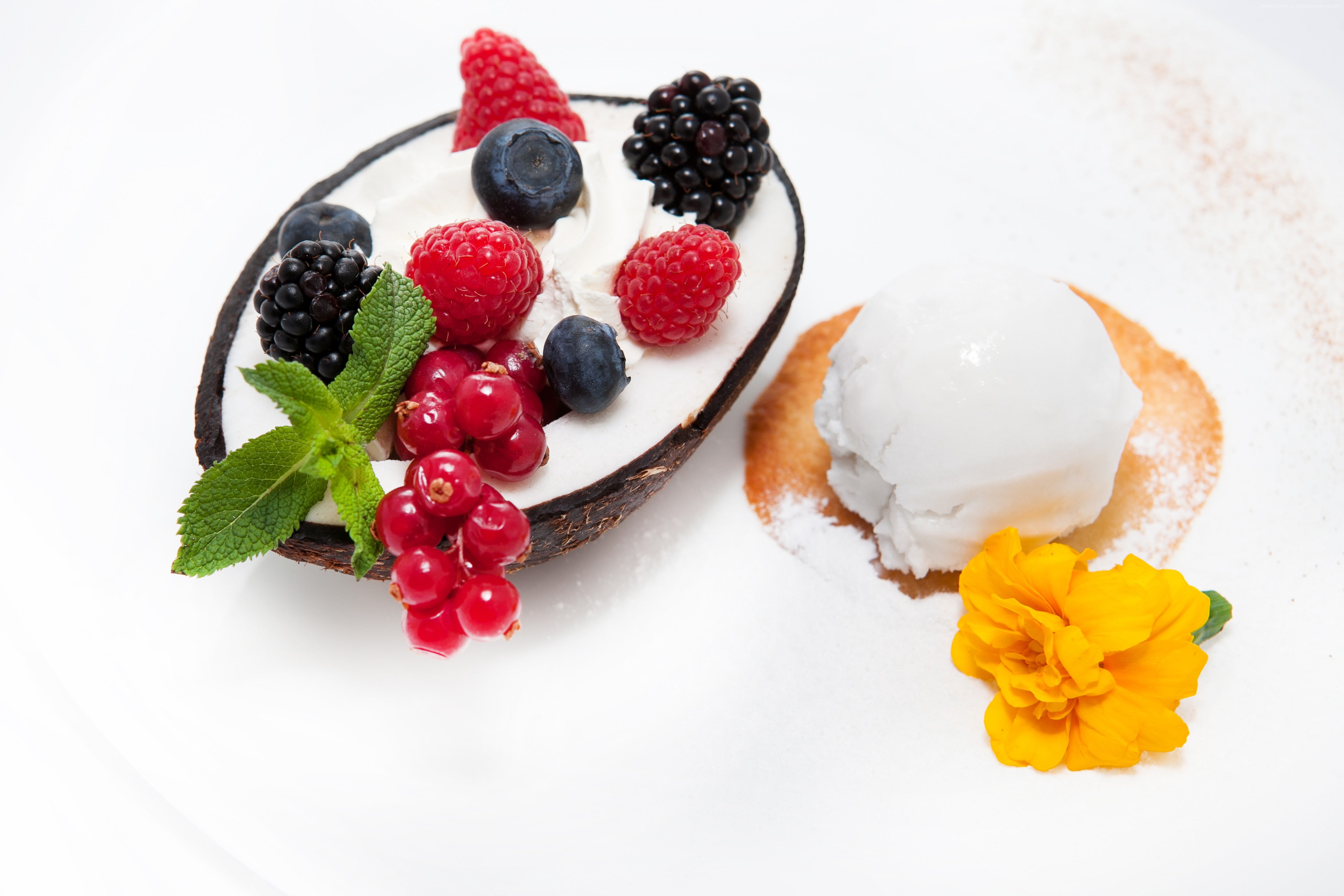 flowers, blueberries, 4K, red currant, sorbet, coconut, raspberries, ice, berries, blackberries, HD Wallpaper