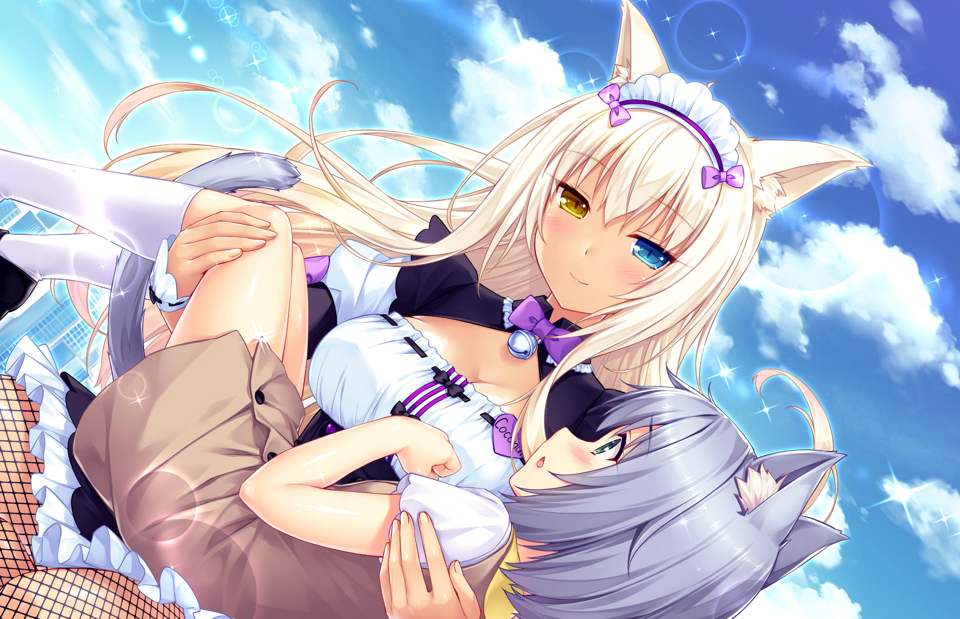 Heterochromia, Socks, Smile, Anime, Blonde, Dress, Neko, Pantyhose, Nekopara, Brown Dress, Animal Ears, Girl, Coconut (Nekopara), Blush, 1080P, Fishnet, HD Wallpaper