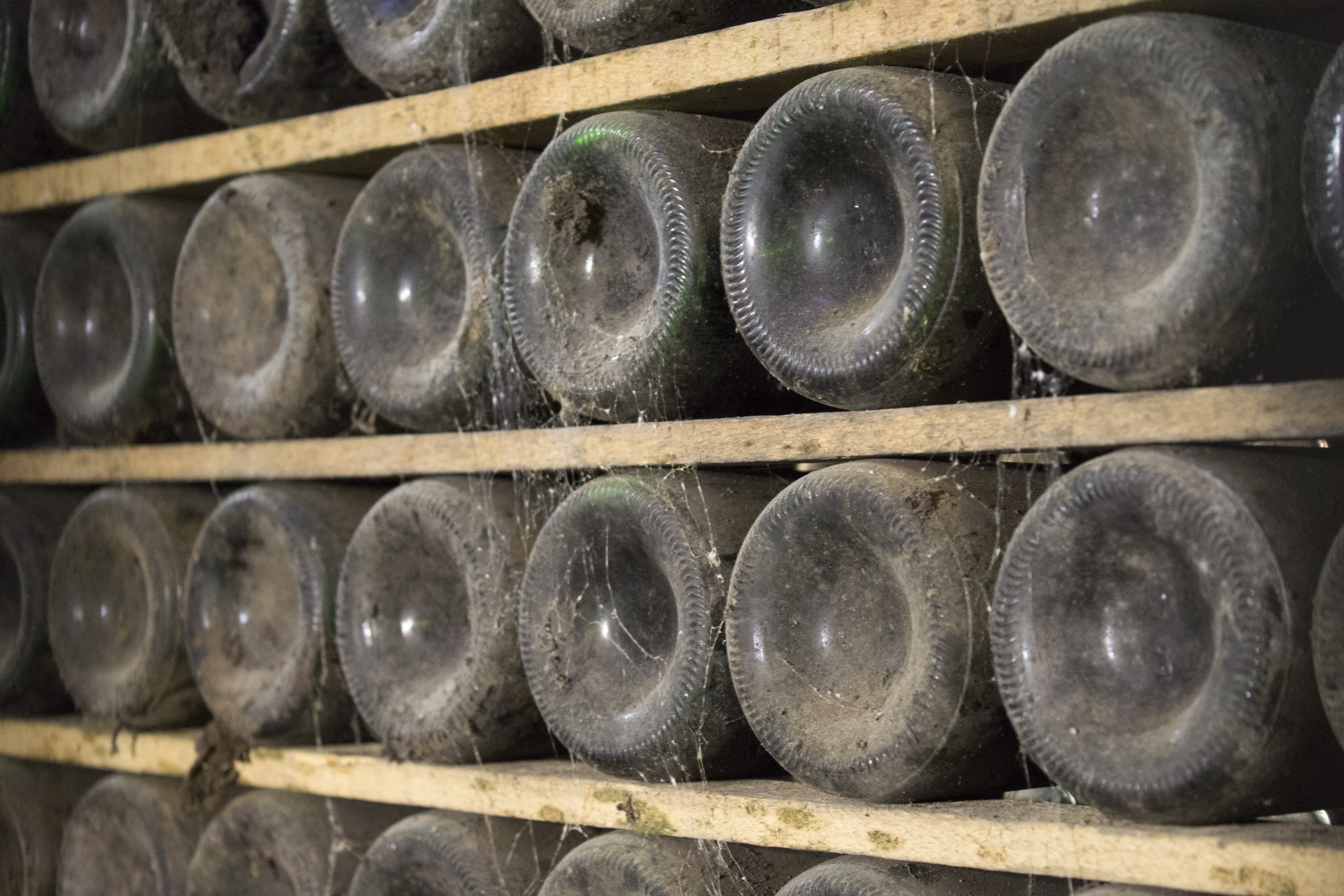 cask, lot, grapes, patience, collectibles, viticulture, wine bottle, bottles, moisture, red, tags, wood - material, stack, in a row, cava, dust, winery, HD Wallpaper