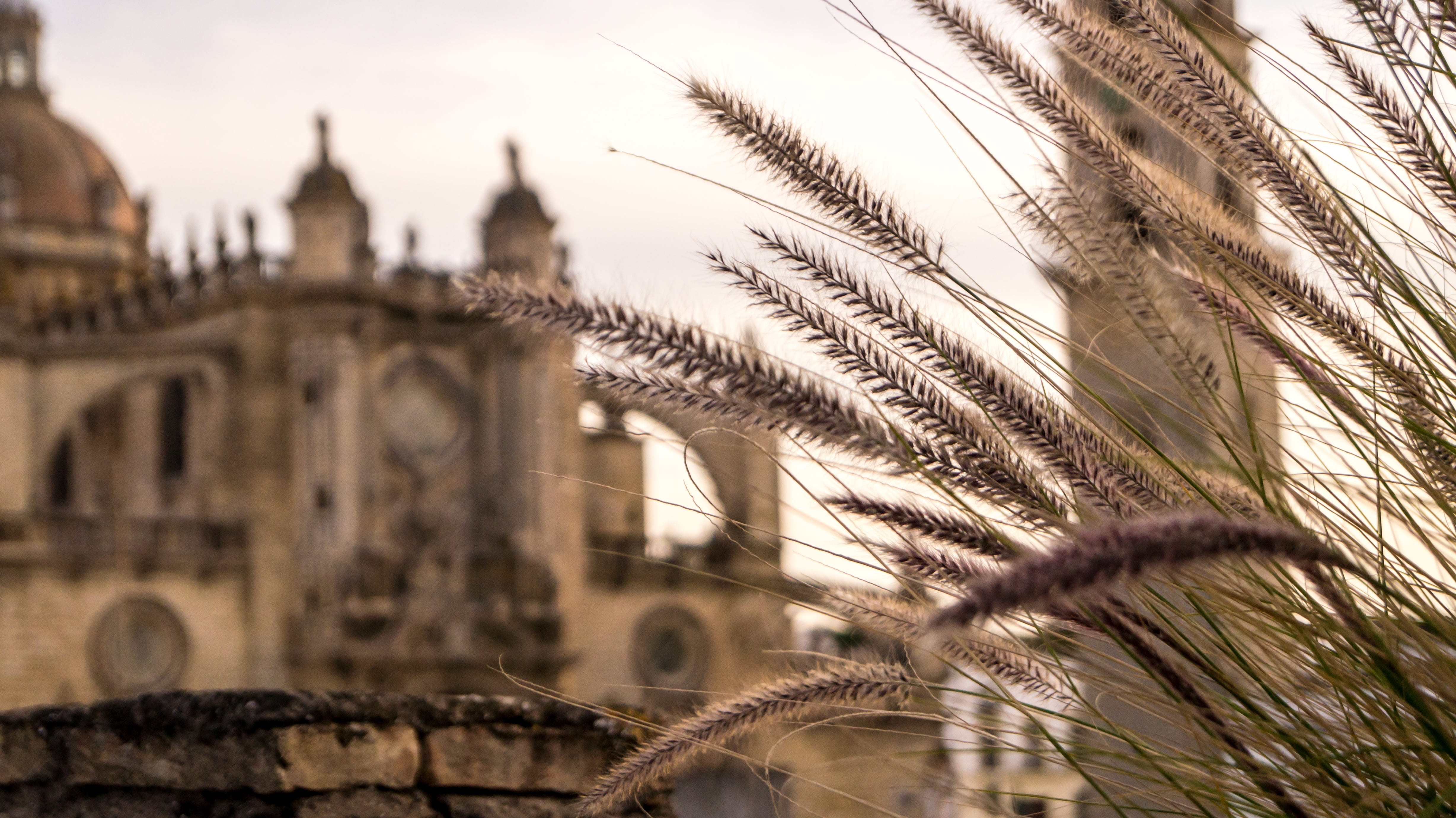 nature, the past, religion, architecture, built structure, history, building exterior, day, travel destinations, outdoors, plant, spirituality, no people, HD Wallpaper