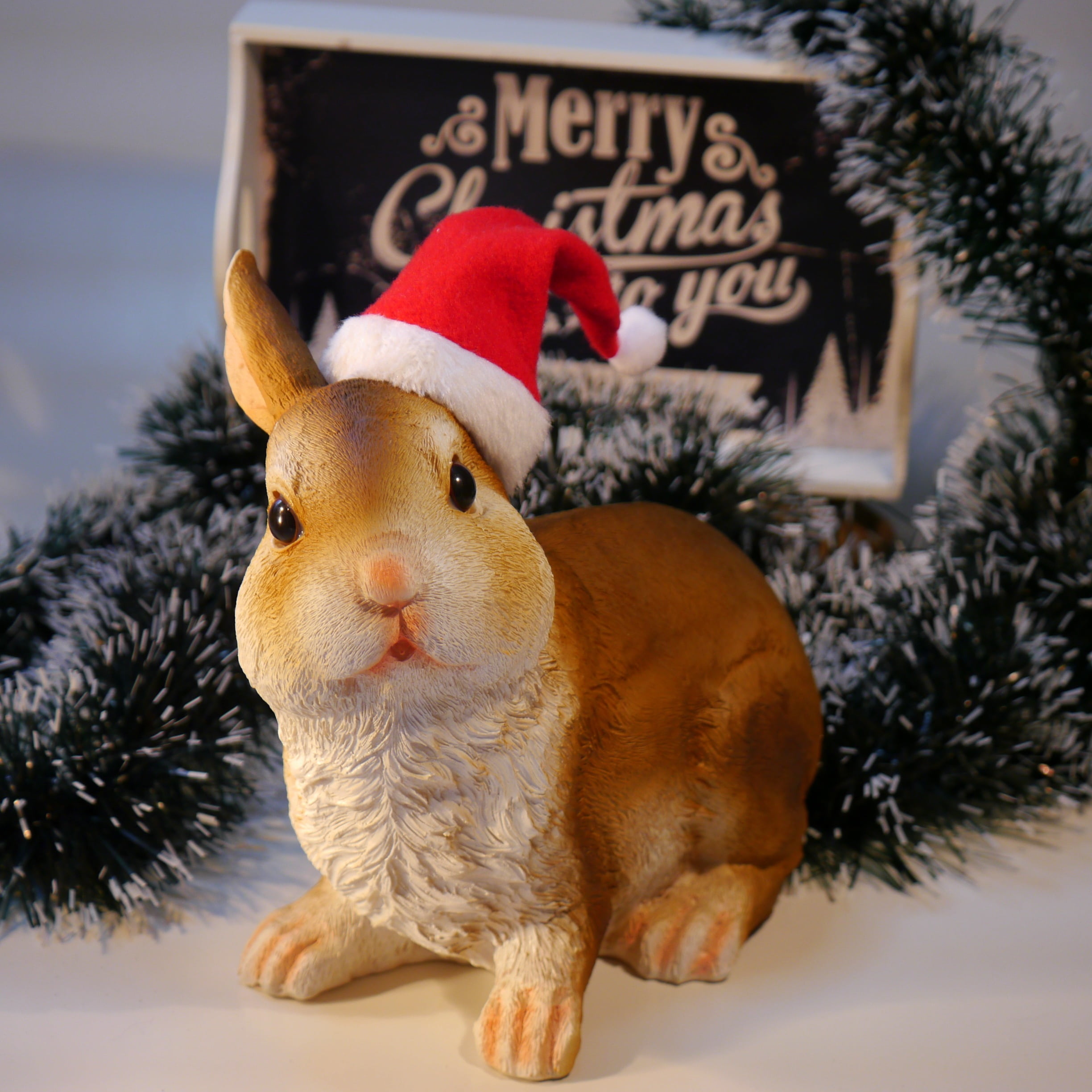 one animal, ceramic, hat, western script, humor, santa hat, nicholas, wearing, pets, domestic, animal, 1080P, cute, text, christmas ornament, holiday, Phone HD Wallpaper