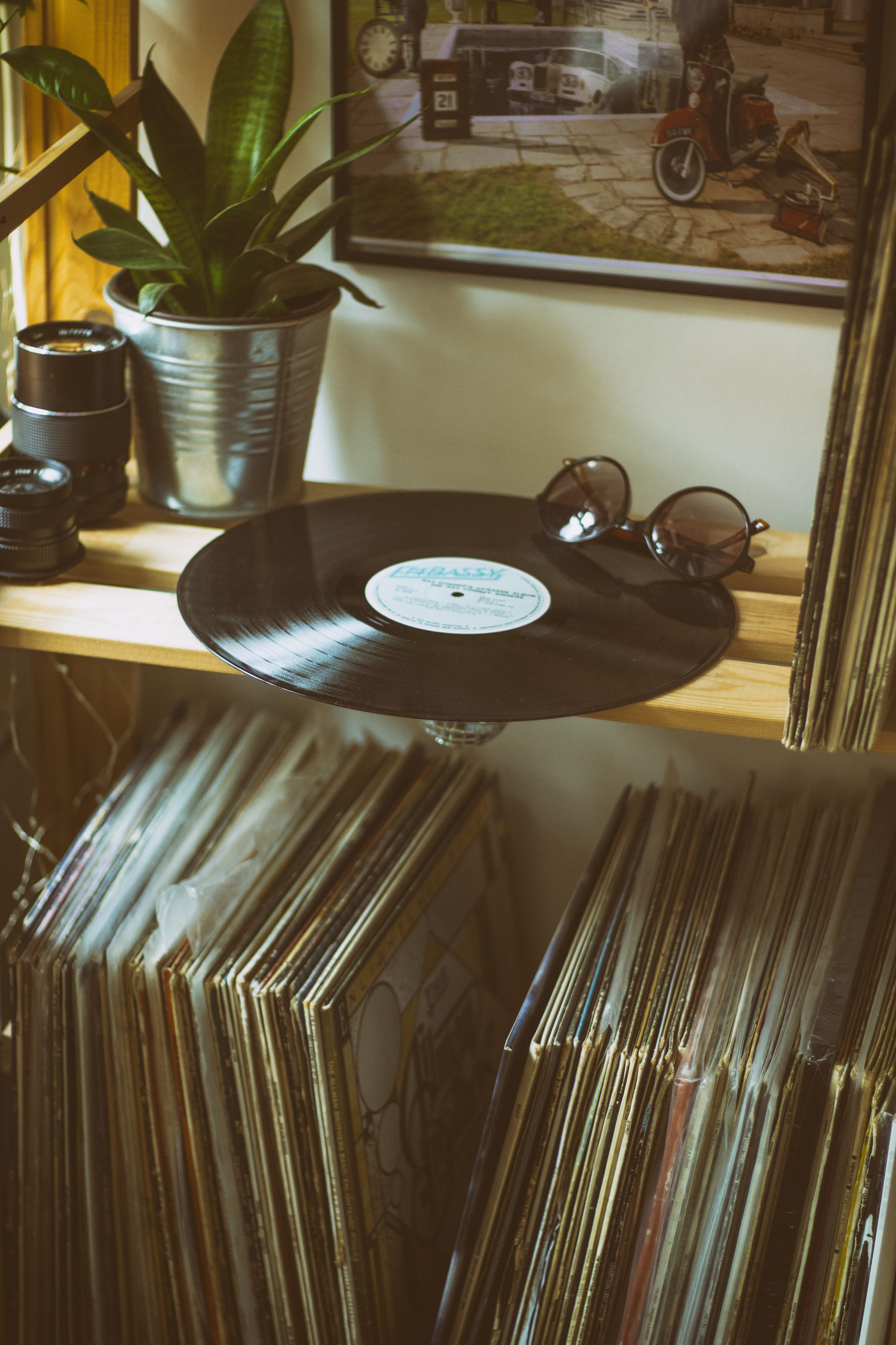 close-up, sunglasses, indoors, home, plant, book, kitchen, house, large group of objects, collections, household equipment, inside, records, business, disc, Phone HD Wallpaper