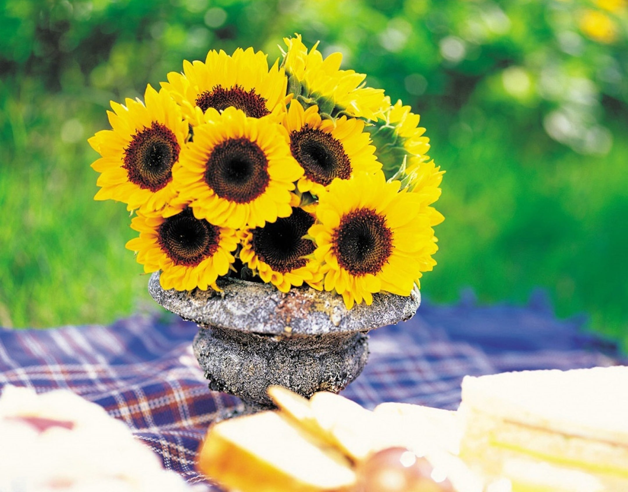 greens, 1080P, vase, sunflowers, blanket, picnic, HD Wallpaper