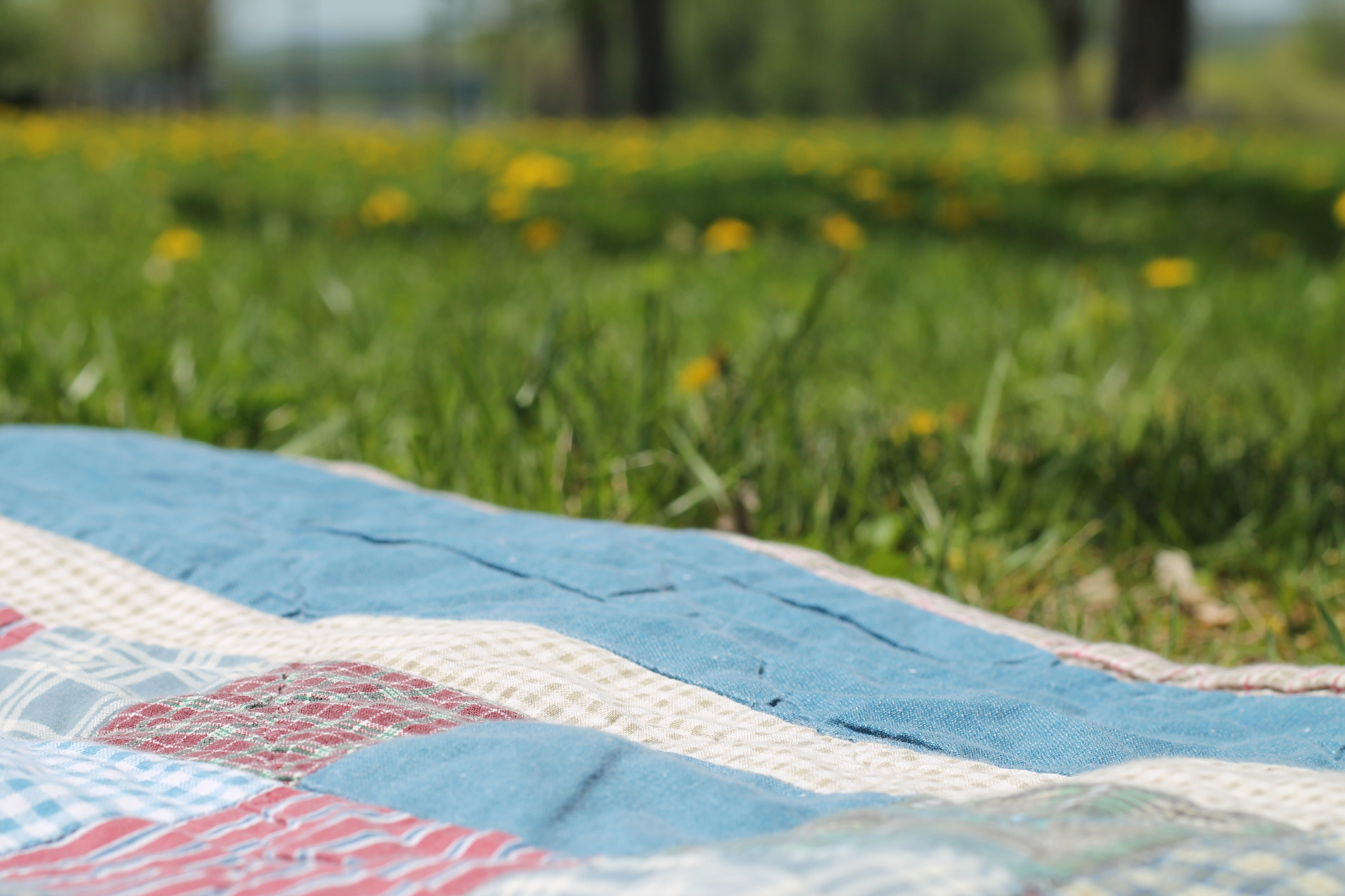 green, dandelions, near, Summer, relax, field, lifestyle, sunny, focus on foreground, 4K, blue, Nature, no people, relaxation, mat, Blanket, absence, picnic blanket, HD Wallpaper