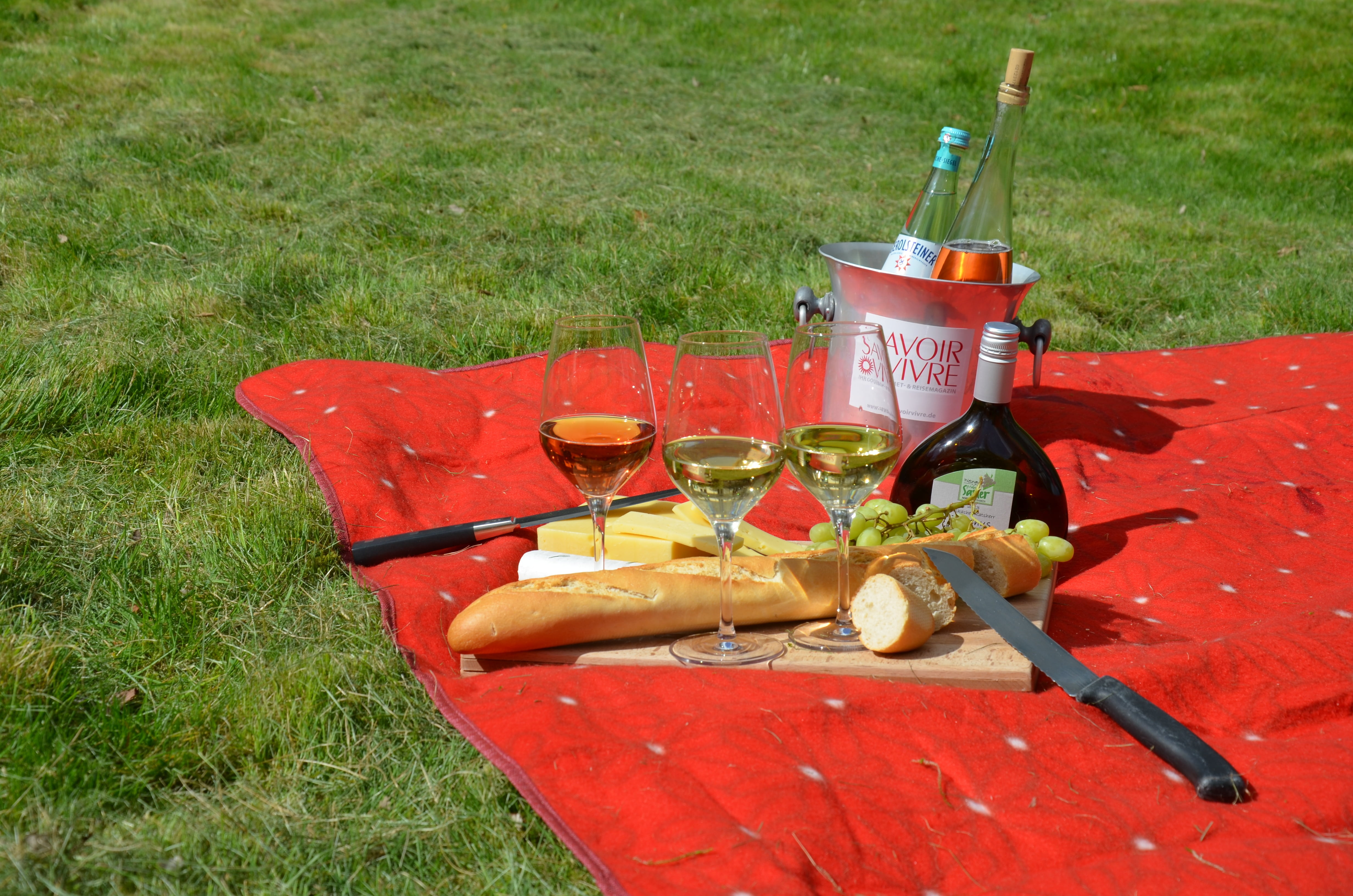 food, container, stemmed, long, plant, red, nature, blanket, rush, glass, tray, bread, three, field, 4K, alcohol, land, high angle view, refreshment, day, HD Wallpaper