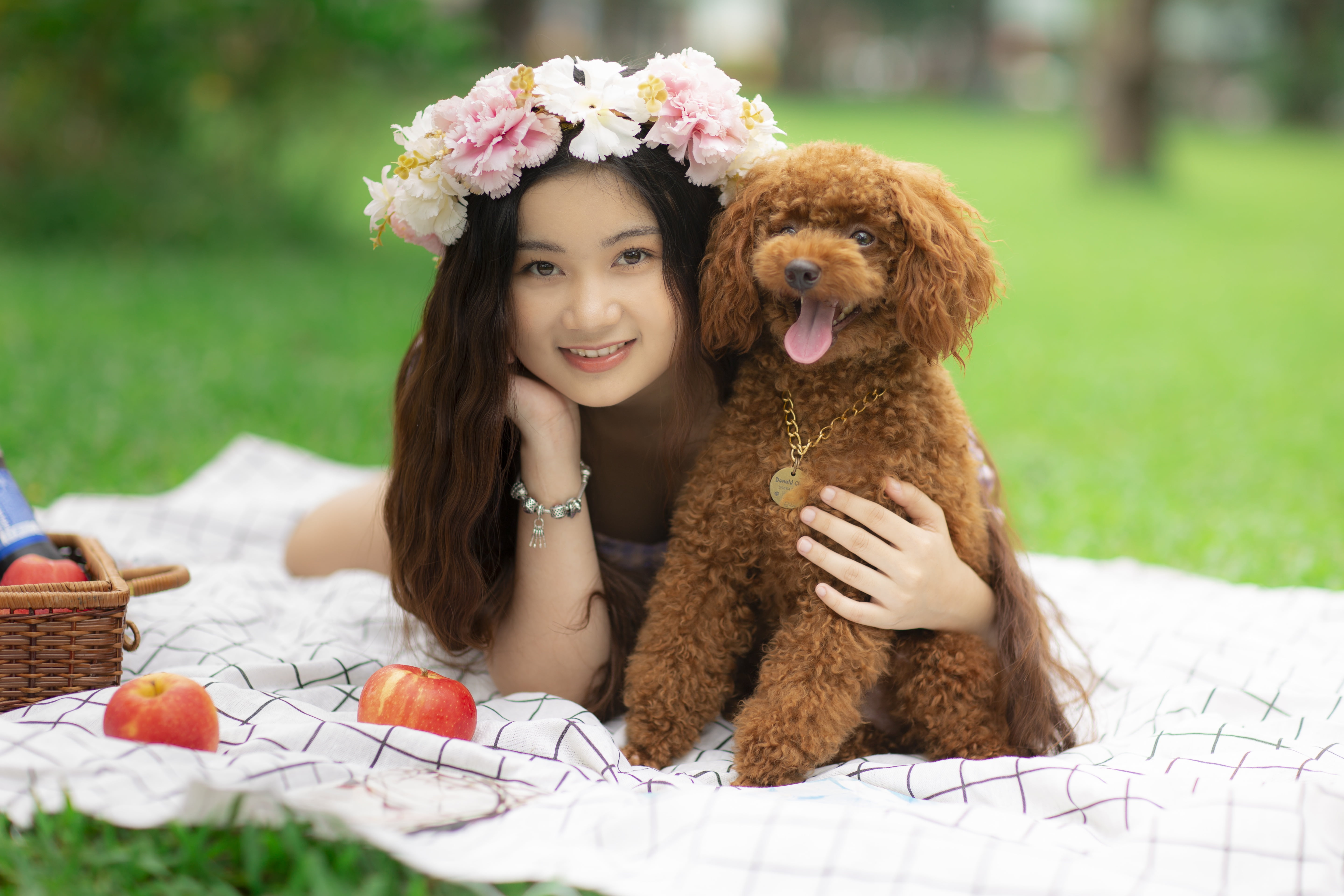 dark hair, 5K, dog, blankets, long hair, model, bracelets, picnic basket, Asian, grass, women outdoors, lying down, flower crown, depth of field, women, HD Wallpaper