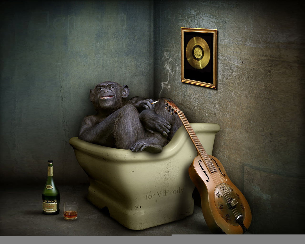 wood - material, representation, black, 720P, animal, guitar, inside, tub, digital, container, vignette, no People, bottle, wildlife, mammal, cognac, chimpanzee, HD Wallpaper