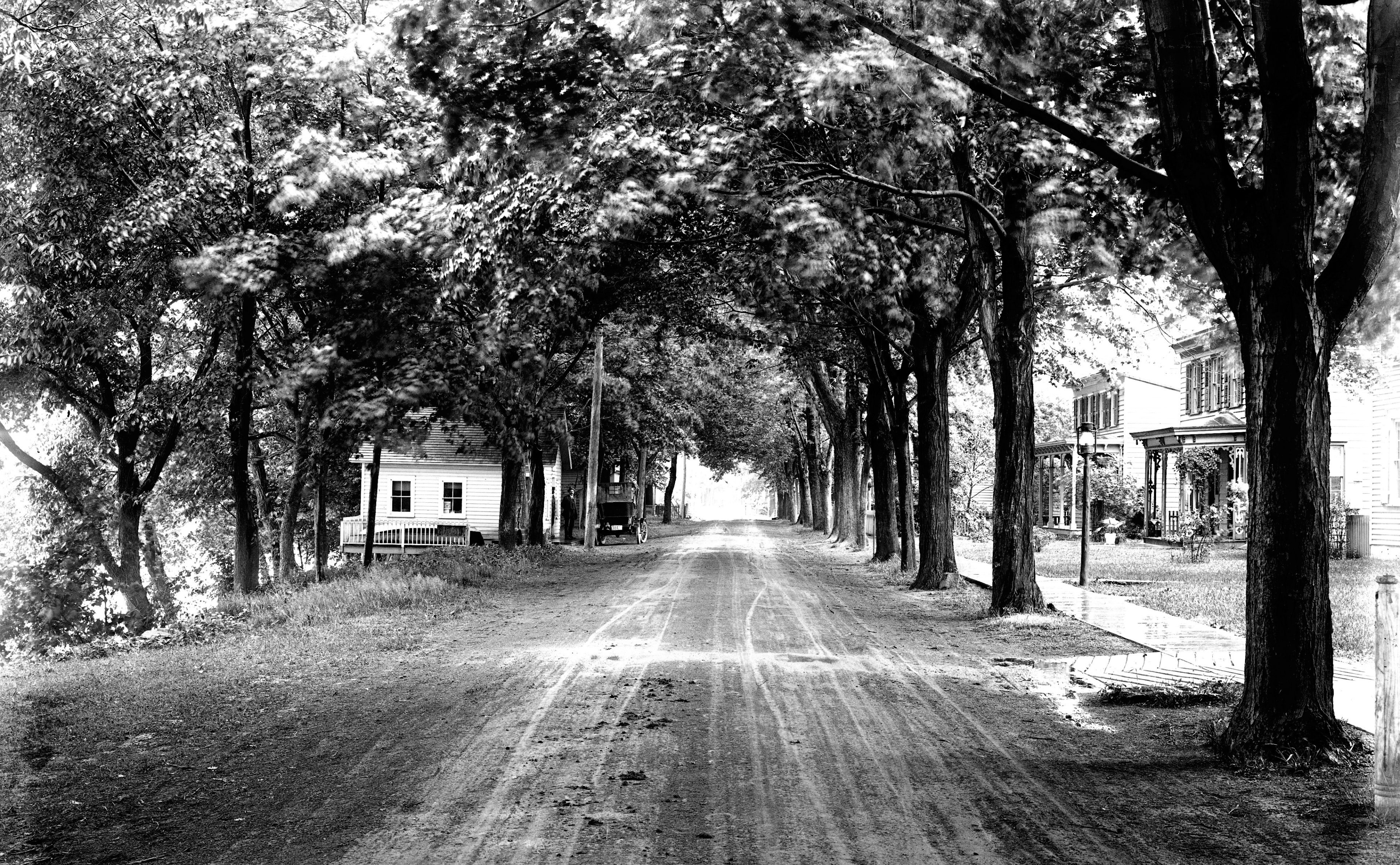 no people, old, trees, day, city, nature, direction, titusville, outdoors, transportation, nrhp, newjersey, treelined, delawareraritancanal, long, growth, HD Wallpaper