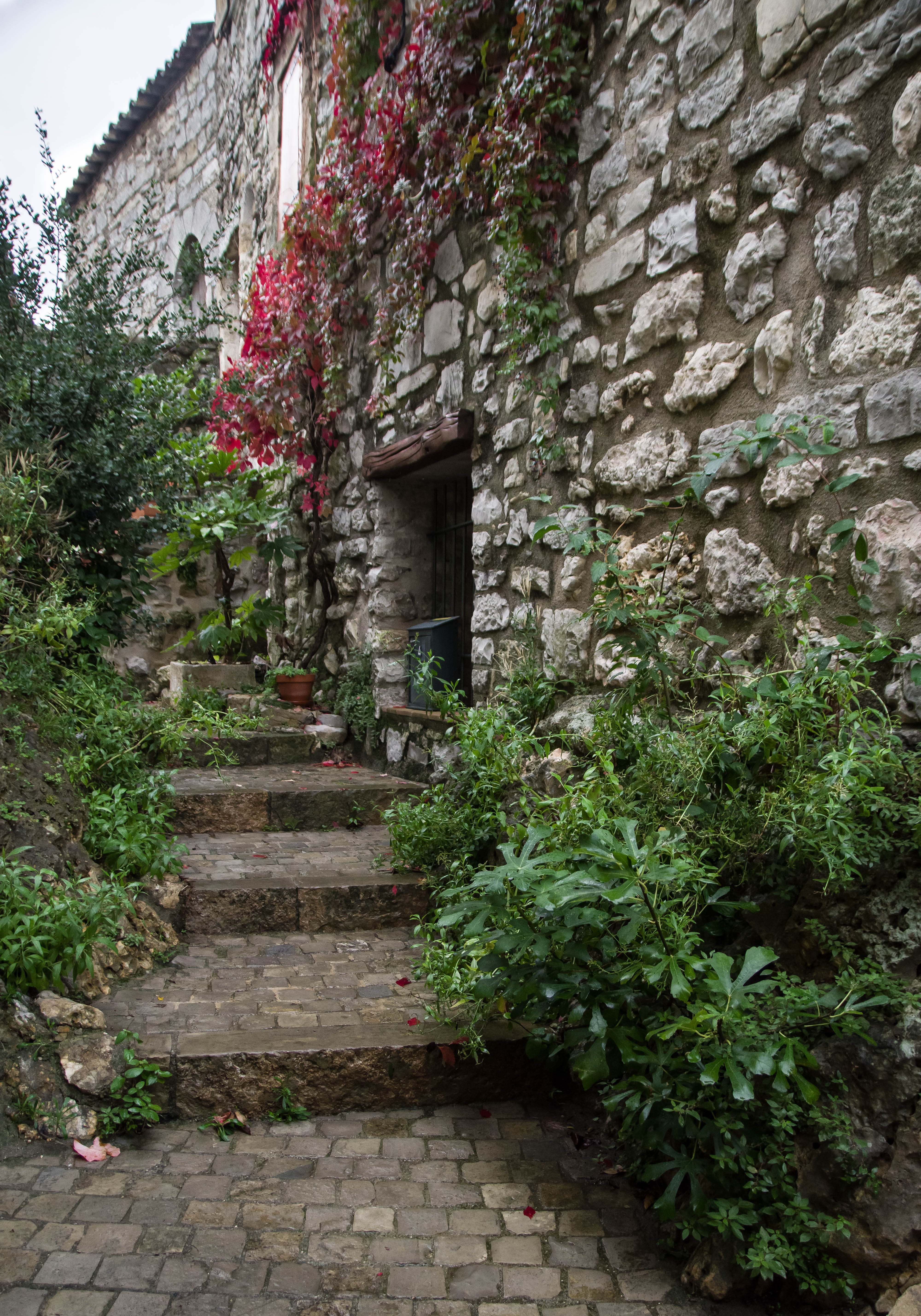 house, wall - building feature, plant, steps and staircases, lane, medieval, built structure, wall, staircase, building, herald, the way forward, village, Phone HD Wallpaper