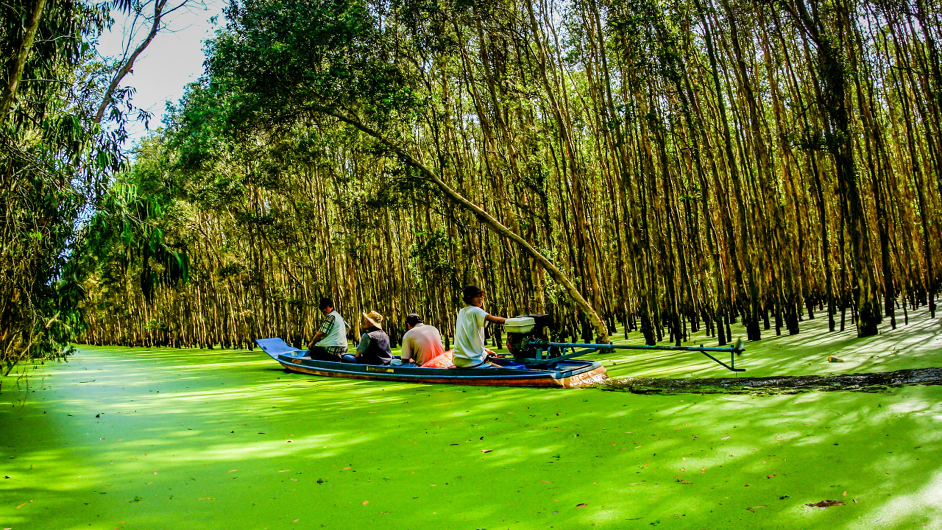 granary, 1080P, hd, mekong, giang, long, quadrangle, delta, largest, detsktop, xuyen, known, HD Wallpaper
