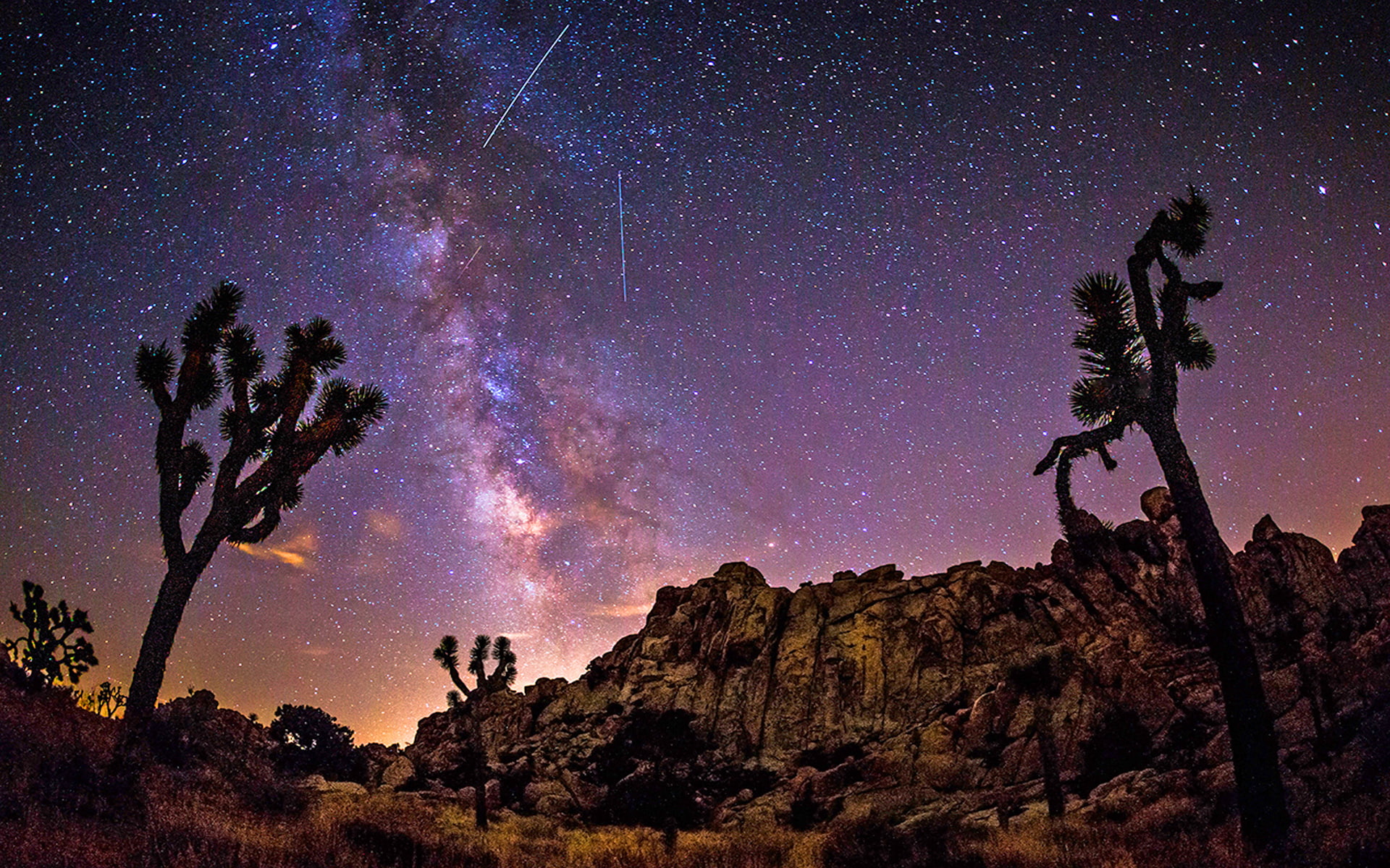 cactus, joshua, national, milky, desert, tree, rock, usa, area, way, sky, california, star, summer, hd, 1080P, park, HD Wallpaper