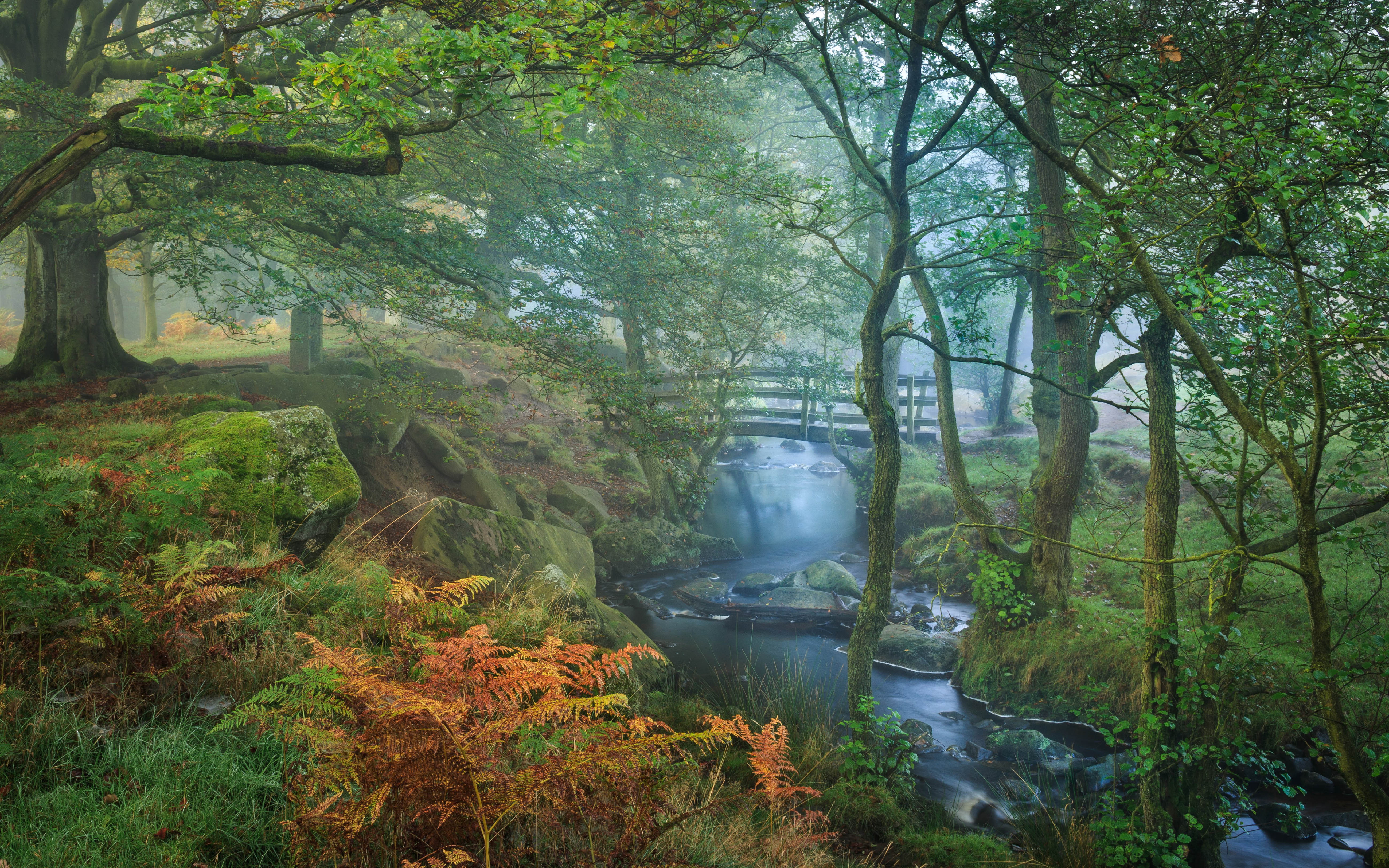 landscape, burbage, hd, river, upper, stream, nature, tributary, mobile, 5K, phones, laptops, brook, HD Wallpaper