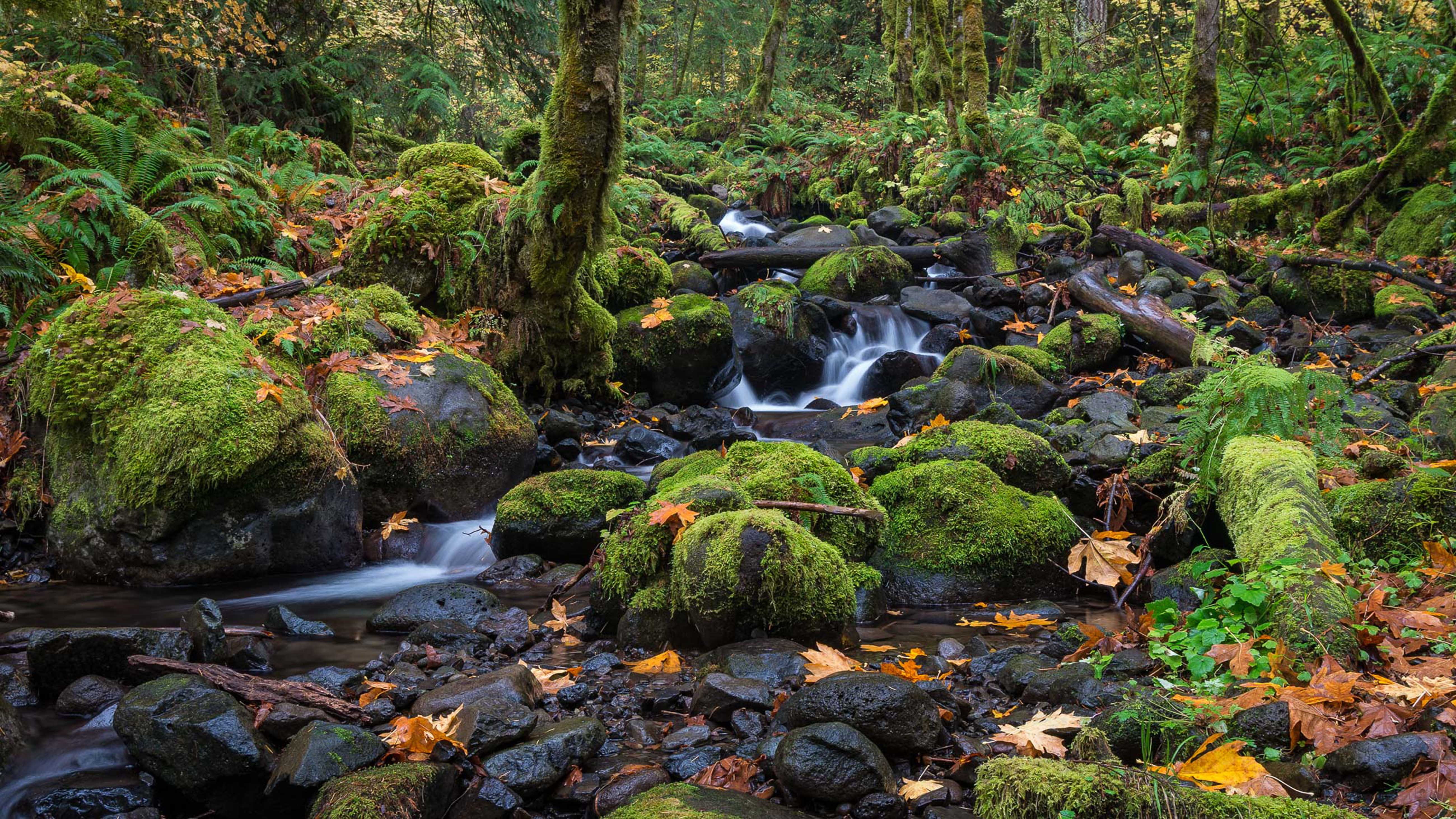 creek, ultra, 5K, portland, oregon, hd, k, falls, dry, washington, HD Wallpaper