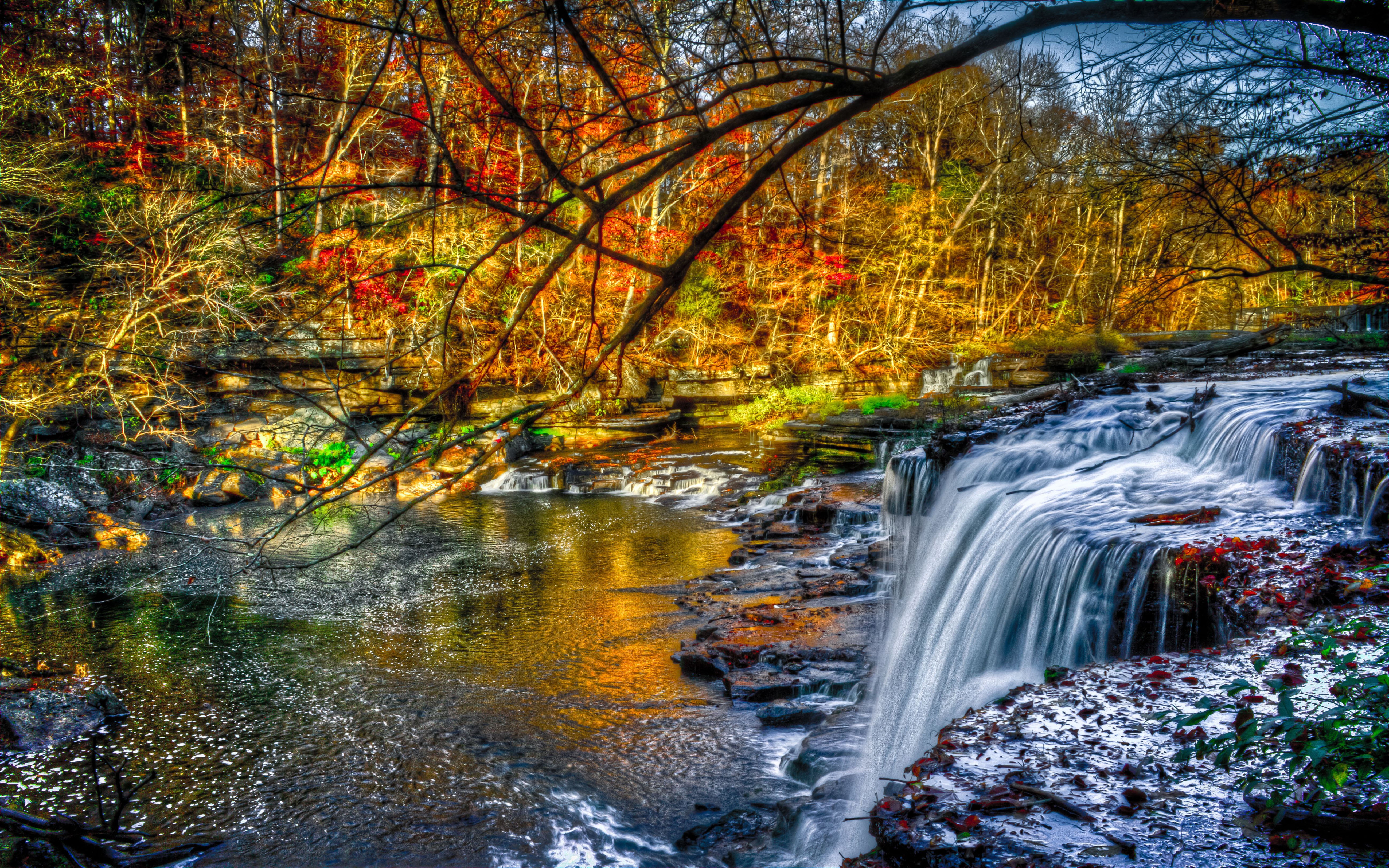 hd, mobile, forest, motion, scenics - nature, fall, beautiful, flowing, nature, no people, pc, change, autumn, red, outdoors, water, tablet, HD Wallpaper
