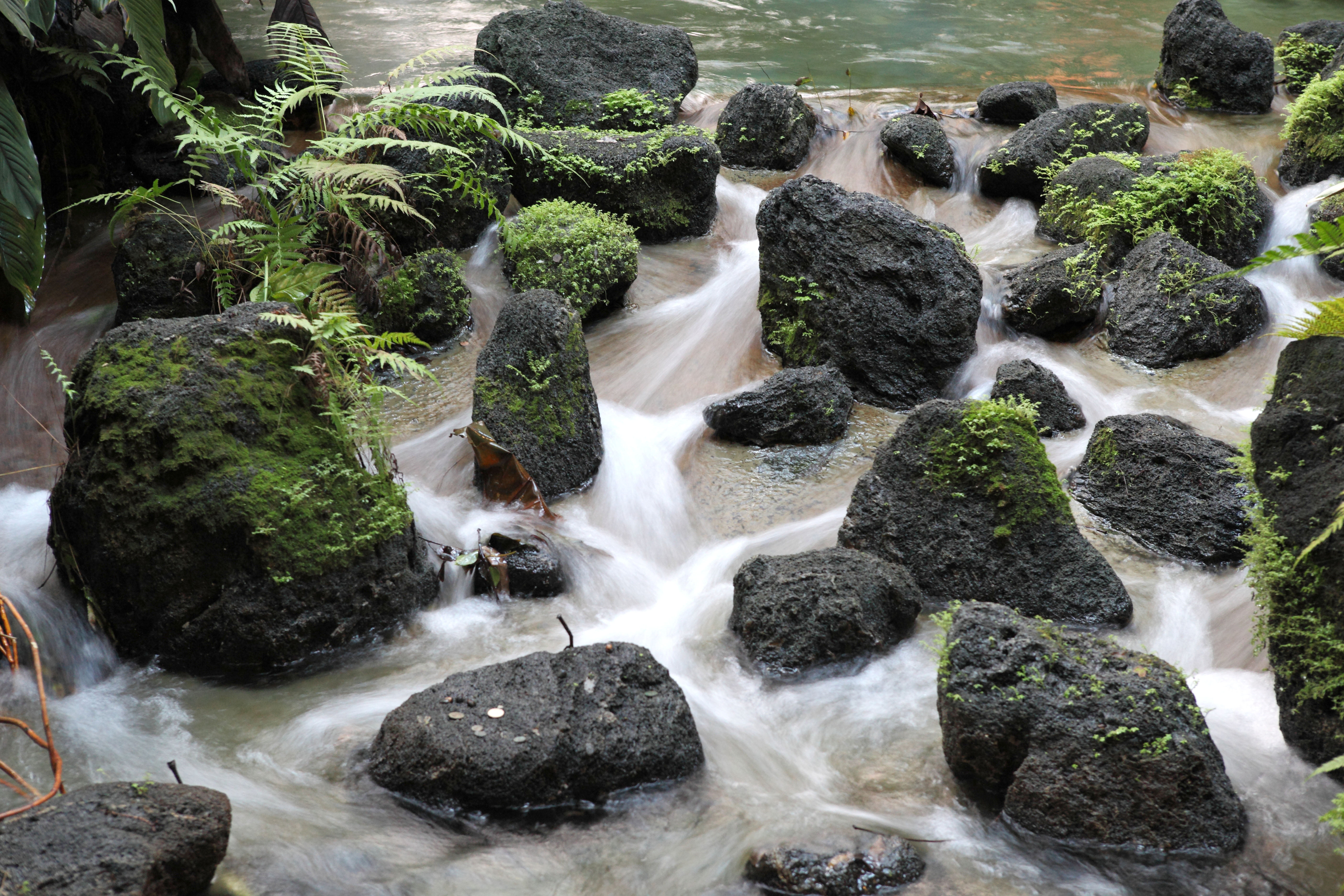stones, river, Water, outdoors, waterfall, nature, stream, rock - Object, concrete, disneys polynesian resort, photo, 5K, Ceremonial, Walt Disney World, HD Wallpaper