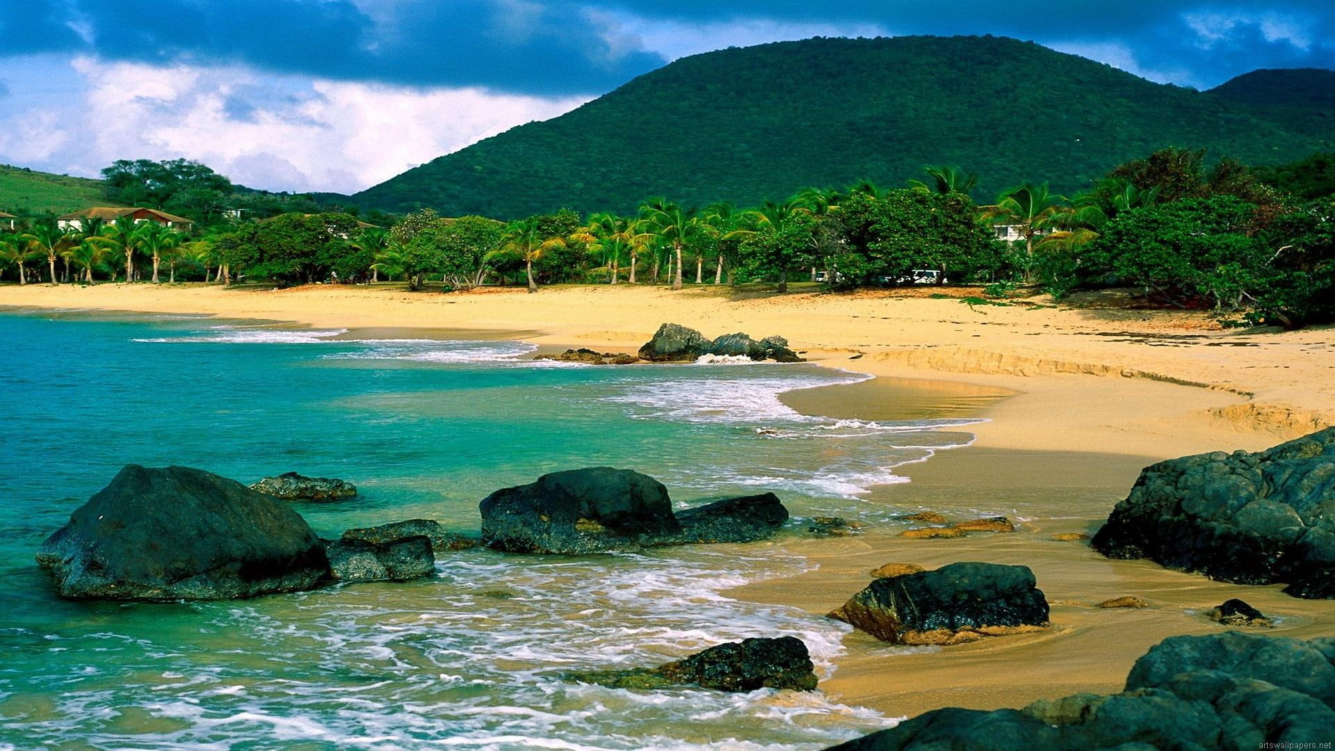 beautiful, mountains, beach, green, palms, nature and landscapes, rocks, polynesian, 1080P, HD Wallpaper