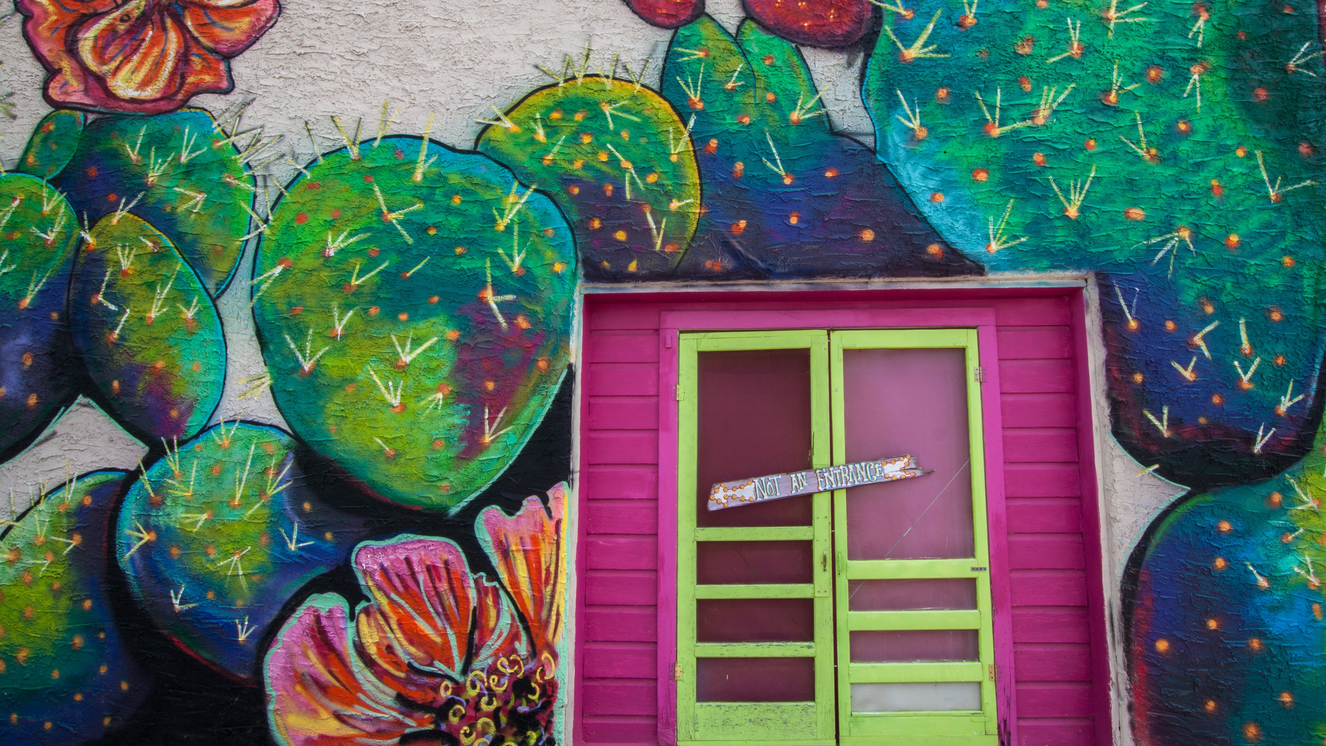 day, plant, graffiti, built structure, colors, art and craft, wood - material, floral pattern, southwestern, wall art, building, doorway, no people, door, HD Wallpaper