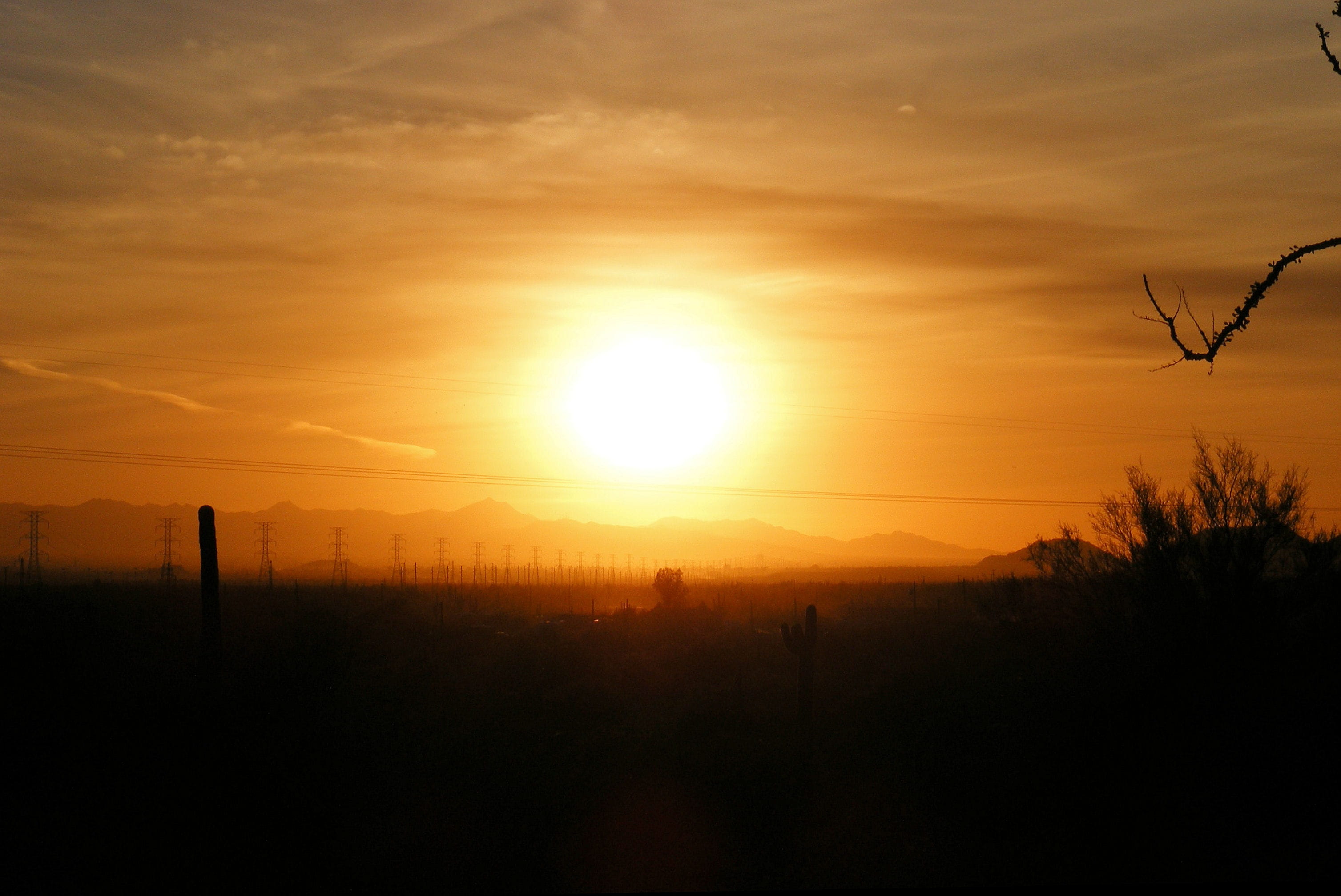 orange color, no people, tranquility, sunlight, land, sunset, non-urban scene, sun, desert, sky, 2K, arizona, tranquil scene, silhouette, landscape, southwestern, HD Wallpaper