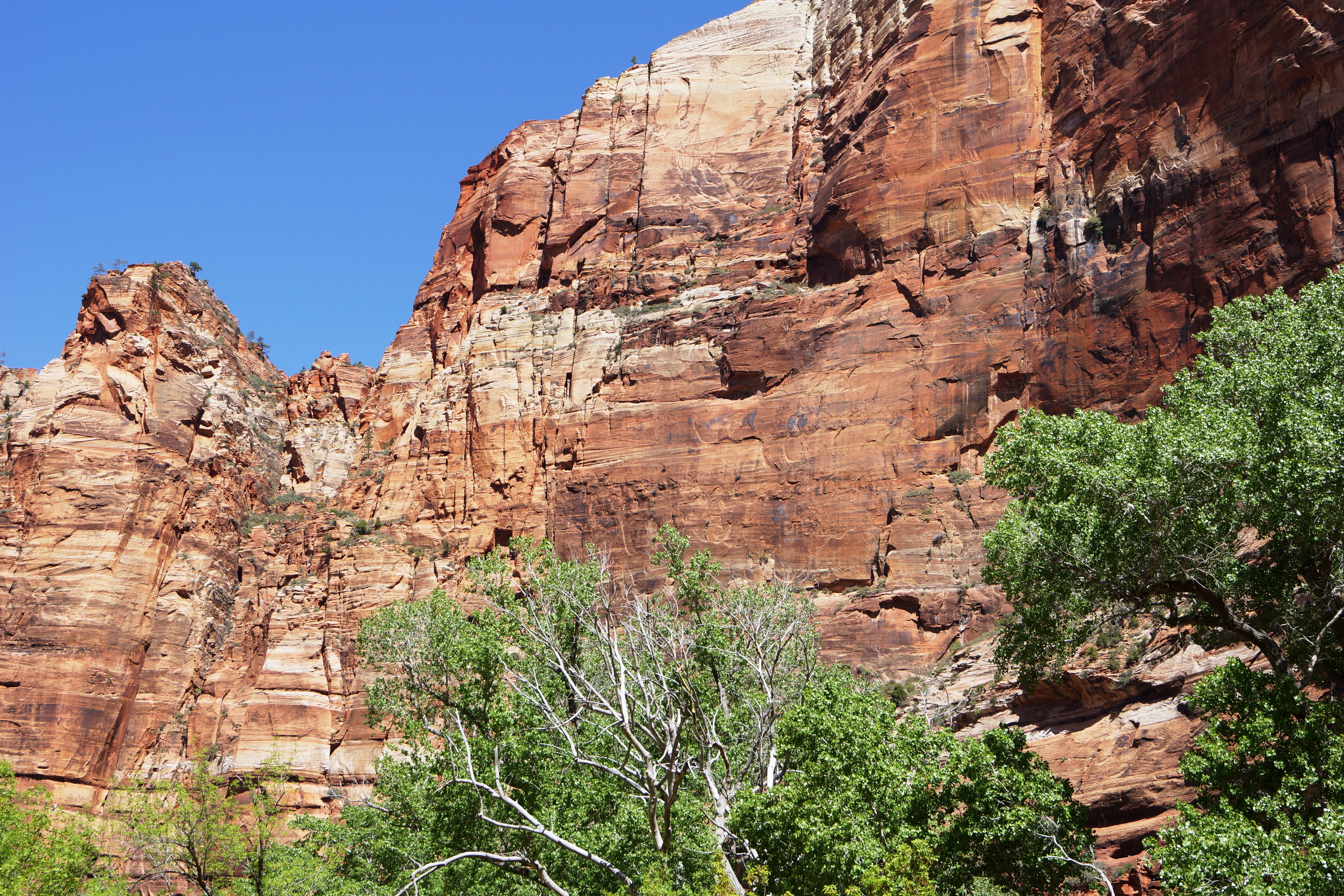 physical geography, travel destinations, america, solid, scenics - nature, scenic, sandstone, outdoors, discover, desert, sky, tree, landscape, climate, HD Wallpaper