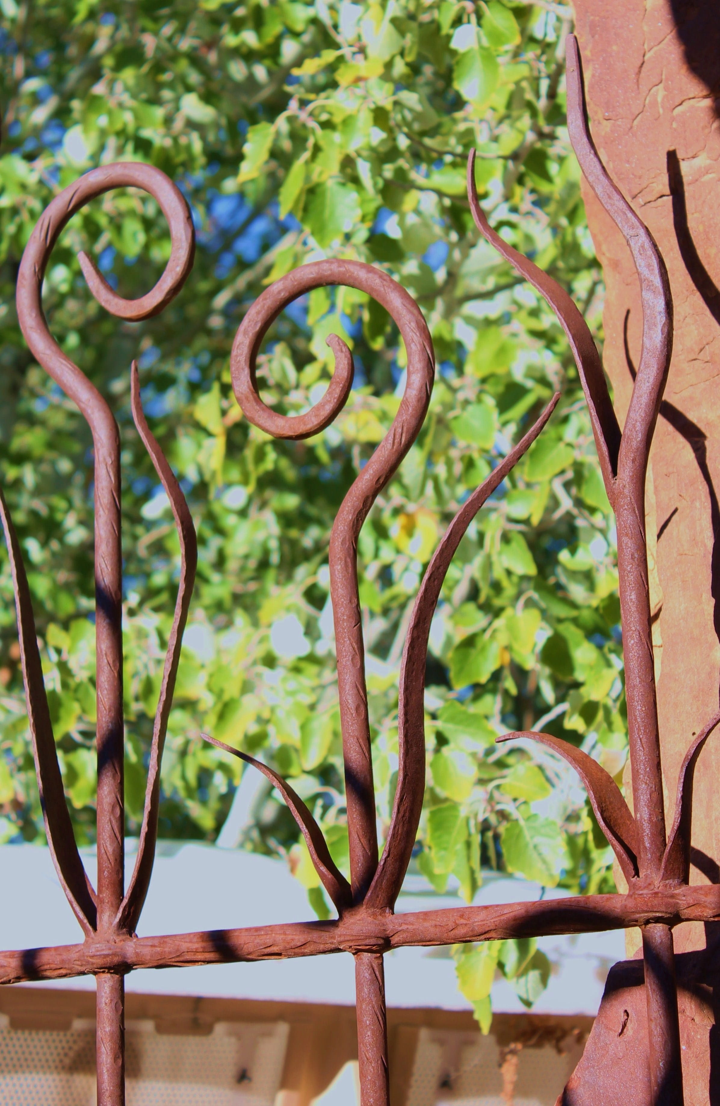 intertwined, focus on foreground, entrance, southwest, nature, outdoor art, 2K, Garden, spike, southwestern, landscape design, Design, growth, rusty, green color, Phone HD Wallpaper