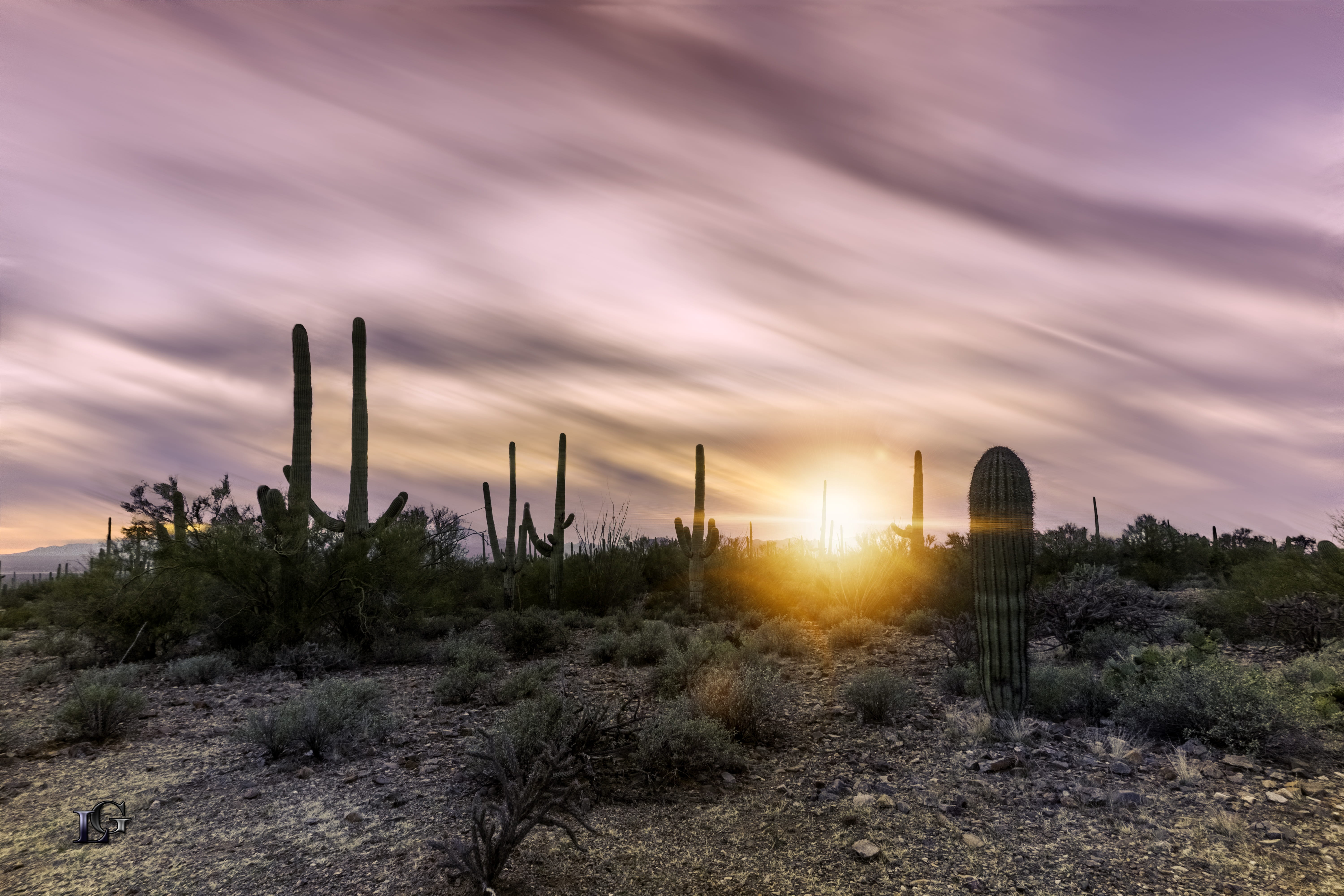 dry, sky, sunrise, beauty in nature, hour, travel, dramatic sky, environment, evening, national park, golden, orange, tranquil scene, arid, outdoor, field, HD Wallpaper