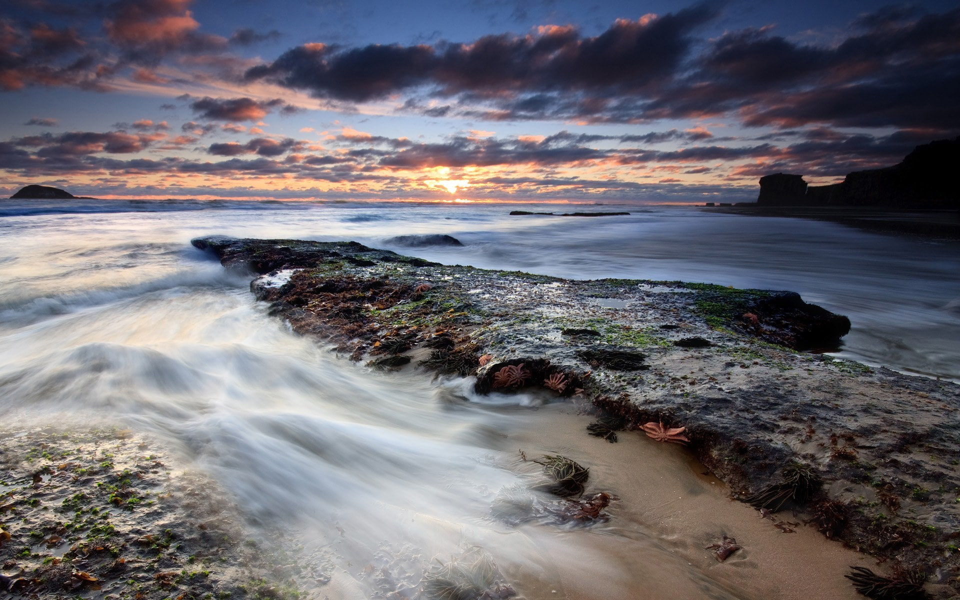 beautiful, New Zealand, sea, 1080P, Sunset at Maori Bay, the evening, sunset, Auckland, HD Wallpaper