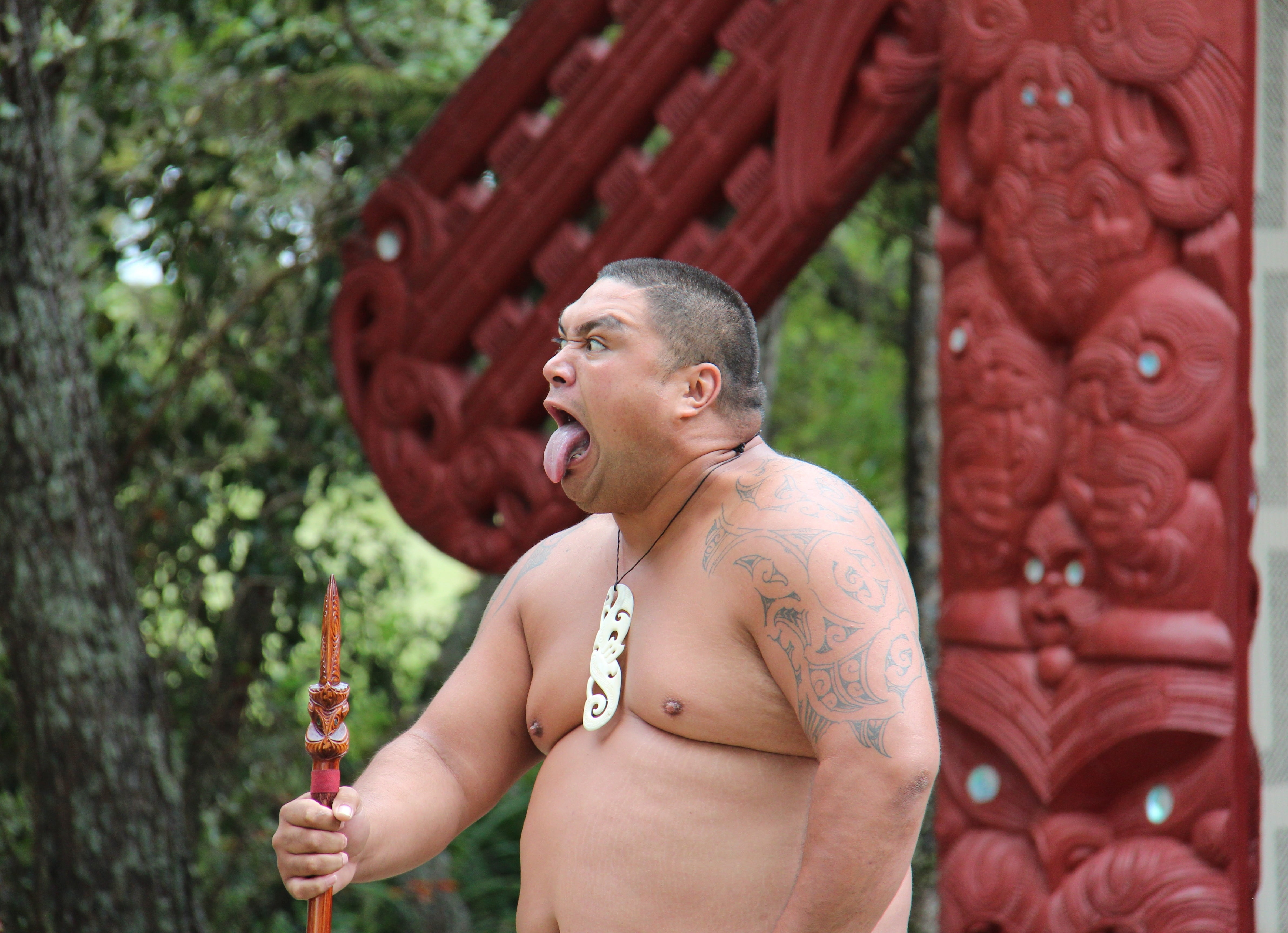 culture, focus on foreground, stick, portrait, day, adult, holding, religion, one person, 4K, making a face, occurs, maori, man, waitangi, looking away, HD Wallpaper