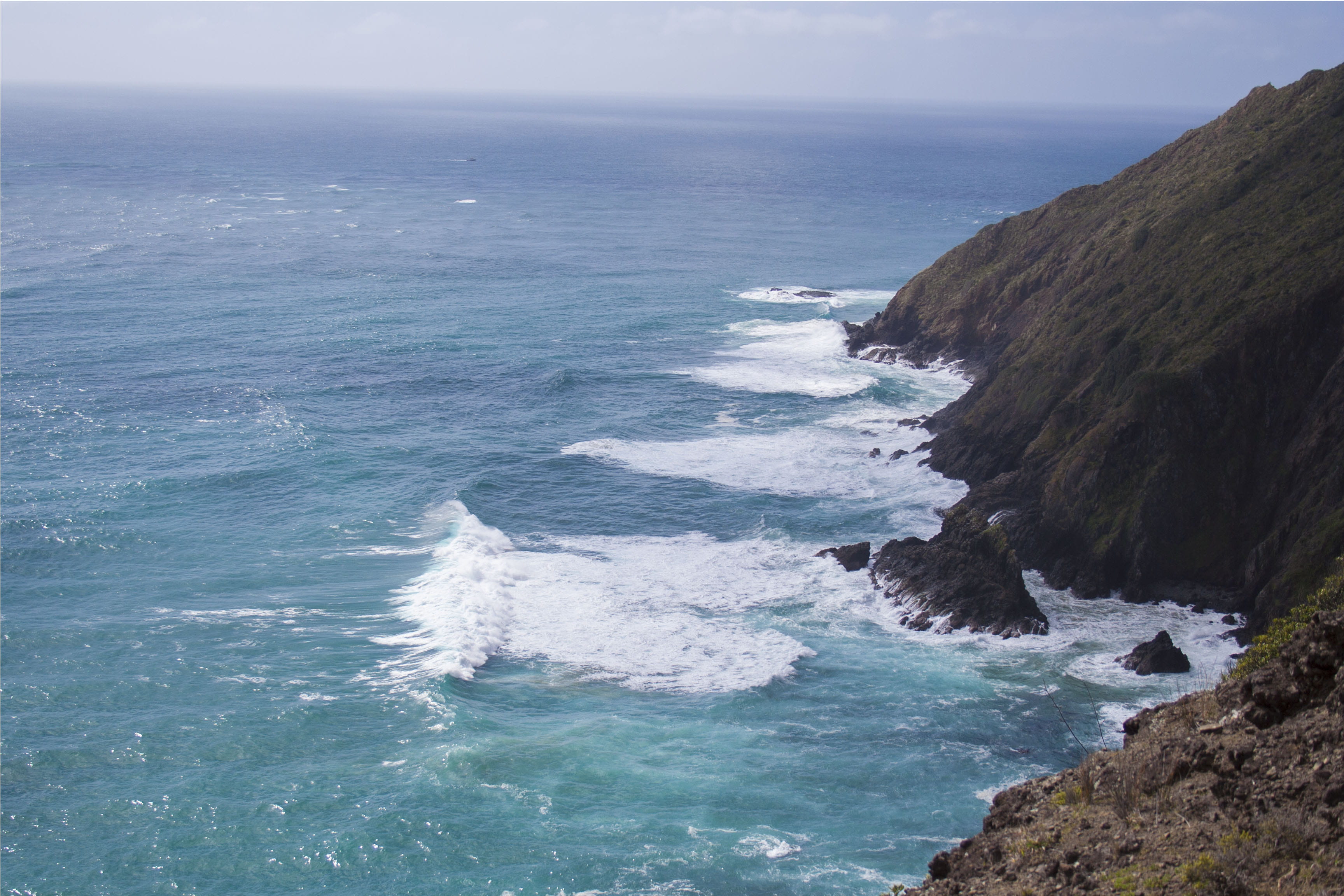 tranquil scene, trees, rock, day, sea, outdoors, no people, tress, 2K, tranquility, ocean, new zealand, rock formation, cape reinga, solid, waves, water, HD Wallpaper