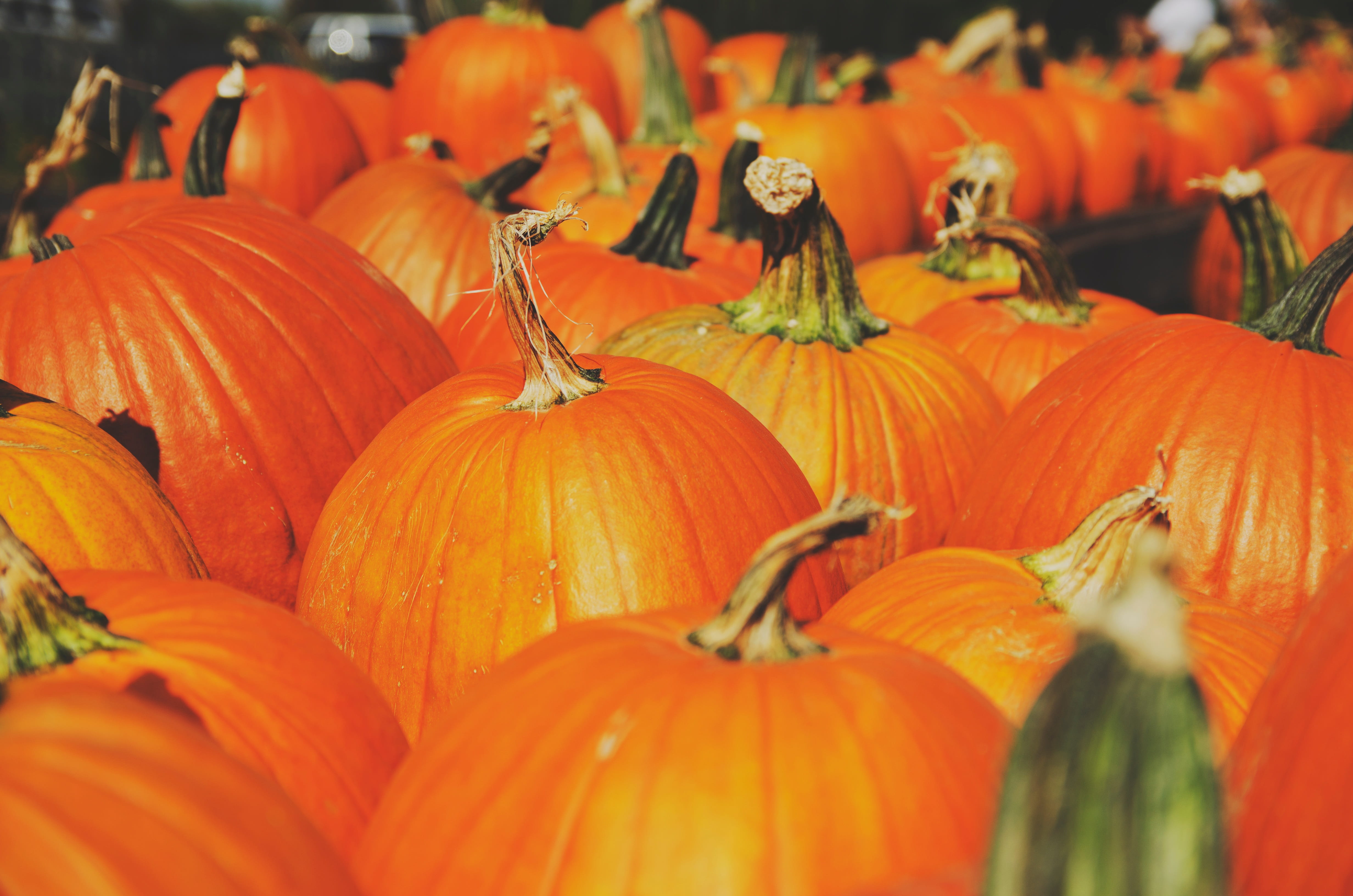 pumpkin, abundance, flower, healthy eating, close-up, harvest, calabaza, market, large group of objects, organic, orange color, plant, agriculture, food and drink, HD Wallpaper