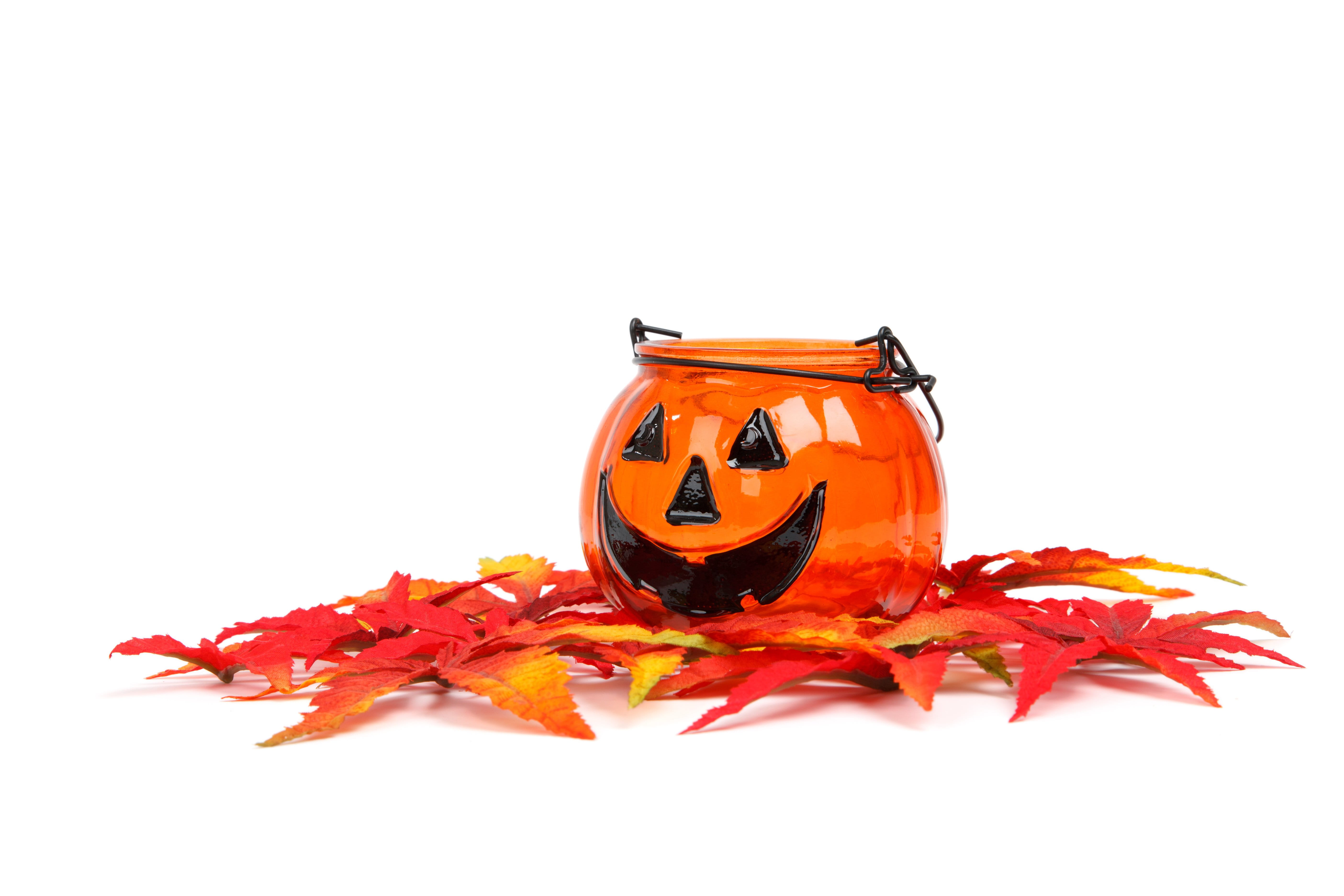 season, food and drink, orange color, seasonal, Autumn, leaves, plant part, isolated, studio shot, holiday, gourd, orange, still life, mouth, celebration, HD Wallpaper