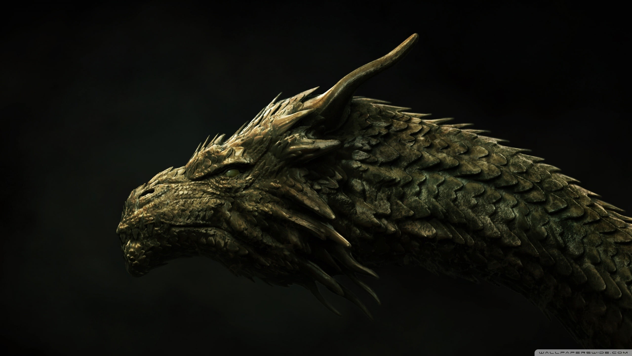 animal wildlife, 2K, copy space, fantasy art, head, focus on foreground, gray, indoors, dragon, bird of prey, animals in the wild, vertebrate, HD Wallpaper