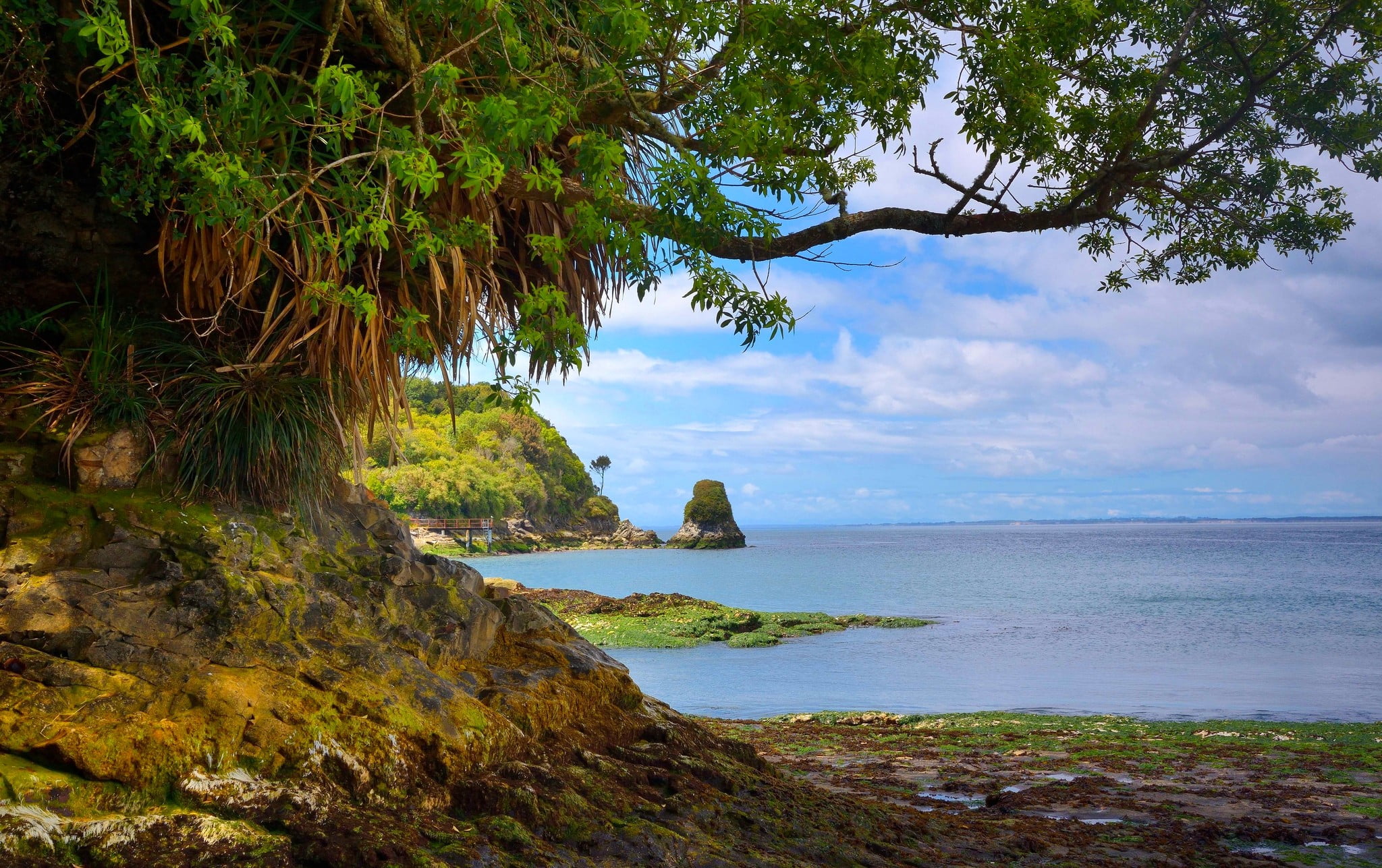 dock, landscape, nature, growth, water, Chile, outdoors, tree, rock formation, leaf, plant, land, green, day, beach, clouds, rock, sky, 1080P, tranquil scene, HD Wallpaper