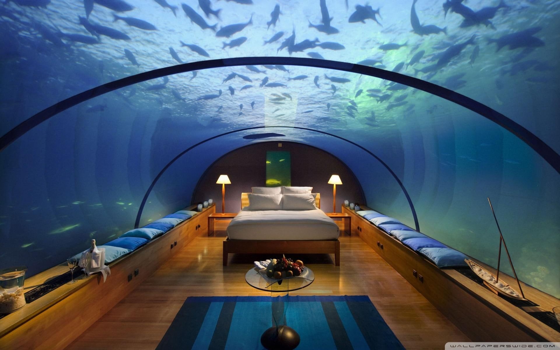 architecture, fish, white, underwater, aquarium, swimming, nature and landsca, photography, pillows, mattress, bedroom, blue, four, 1080P, HD Wallpaper