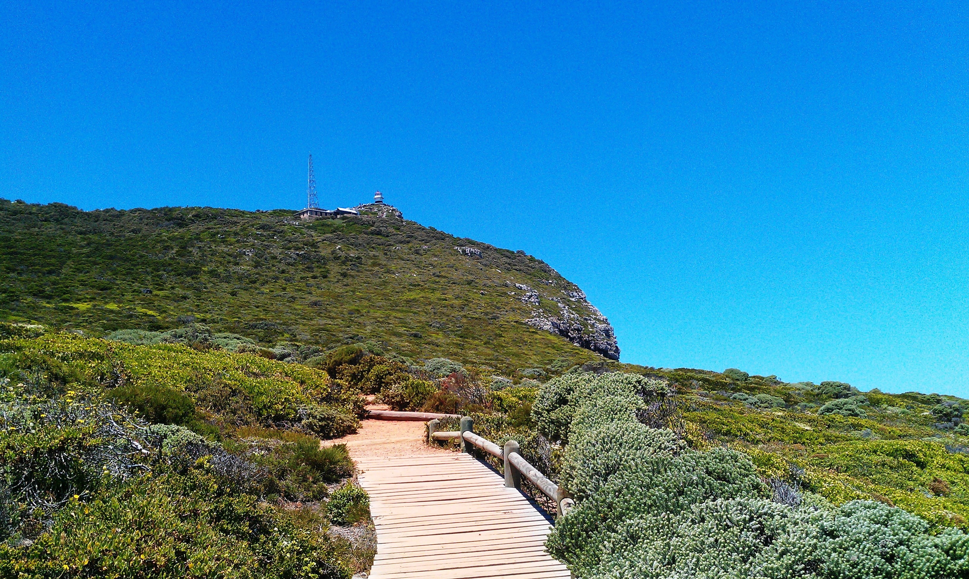 wooden path, green, non-urban scene, plant, walk, south africa, the way forward, scenics - nature, tranquil scene, copy space, wooden bridge, mountains, HD Wallpaper