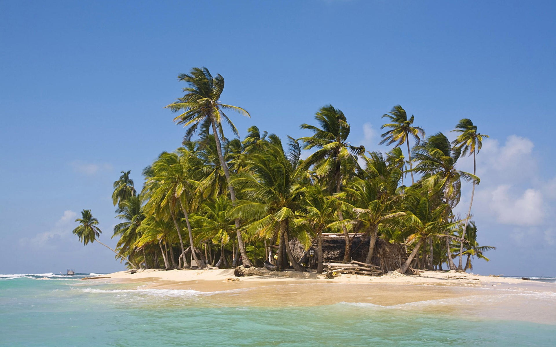 green, tree, plant, land, blue, coconut palm tree, outdoors, leaf, day, water, sea, sky, turquoise colored, palm tree, palm trees, tropical climate, idyllic, HD Wallpaper