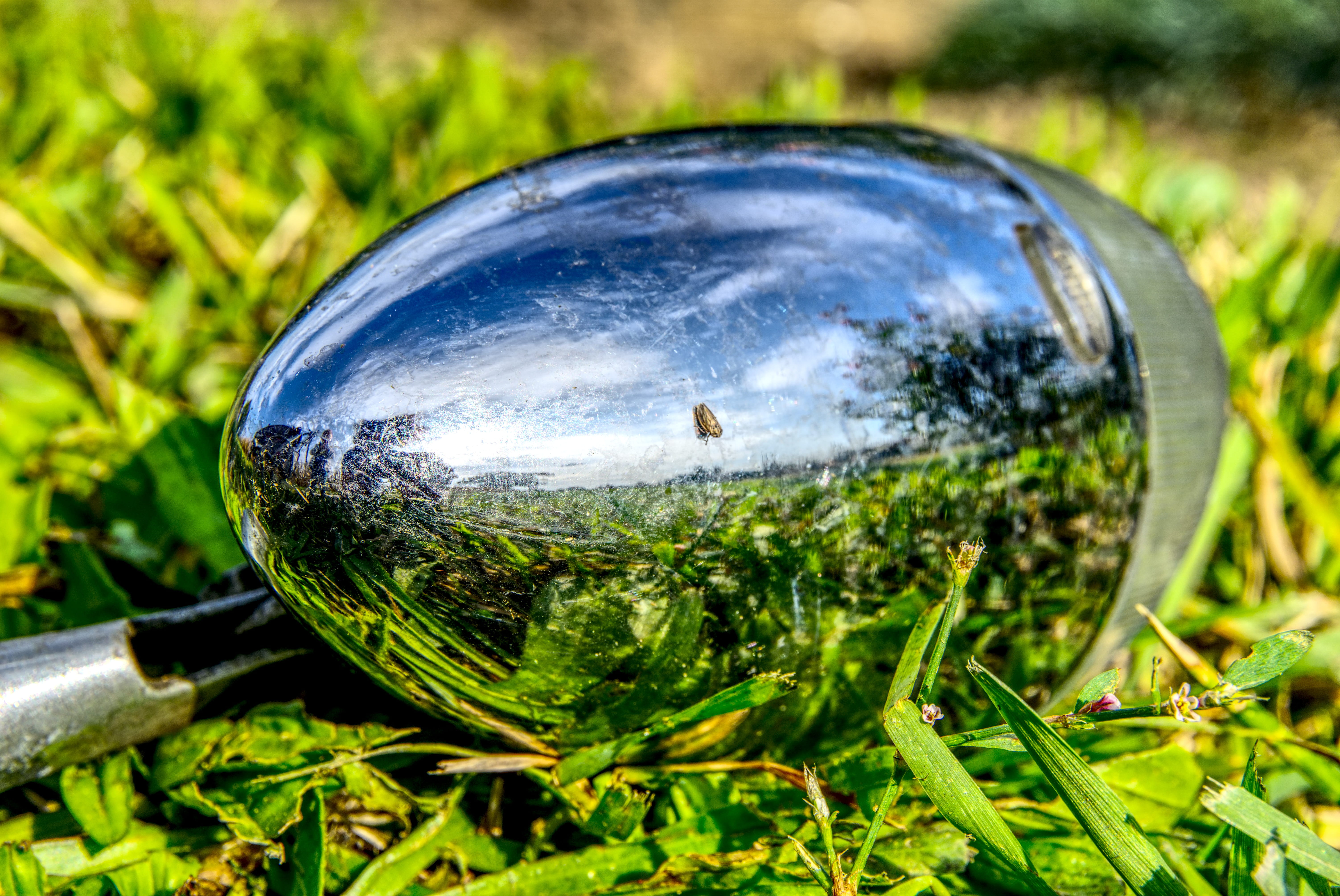 transparent, broken, reflection, mirroring, high dynamic range, outdoors, hdr, mirror, waste, land, green color, scrap, crystal ball, tree, focus on foreground, HD Wallpaper