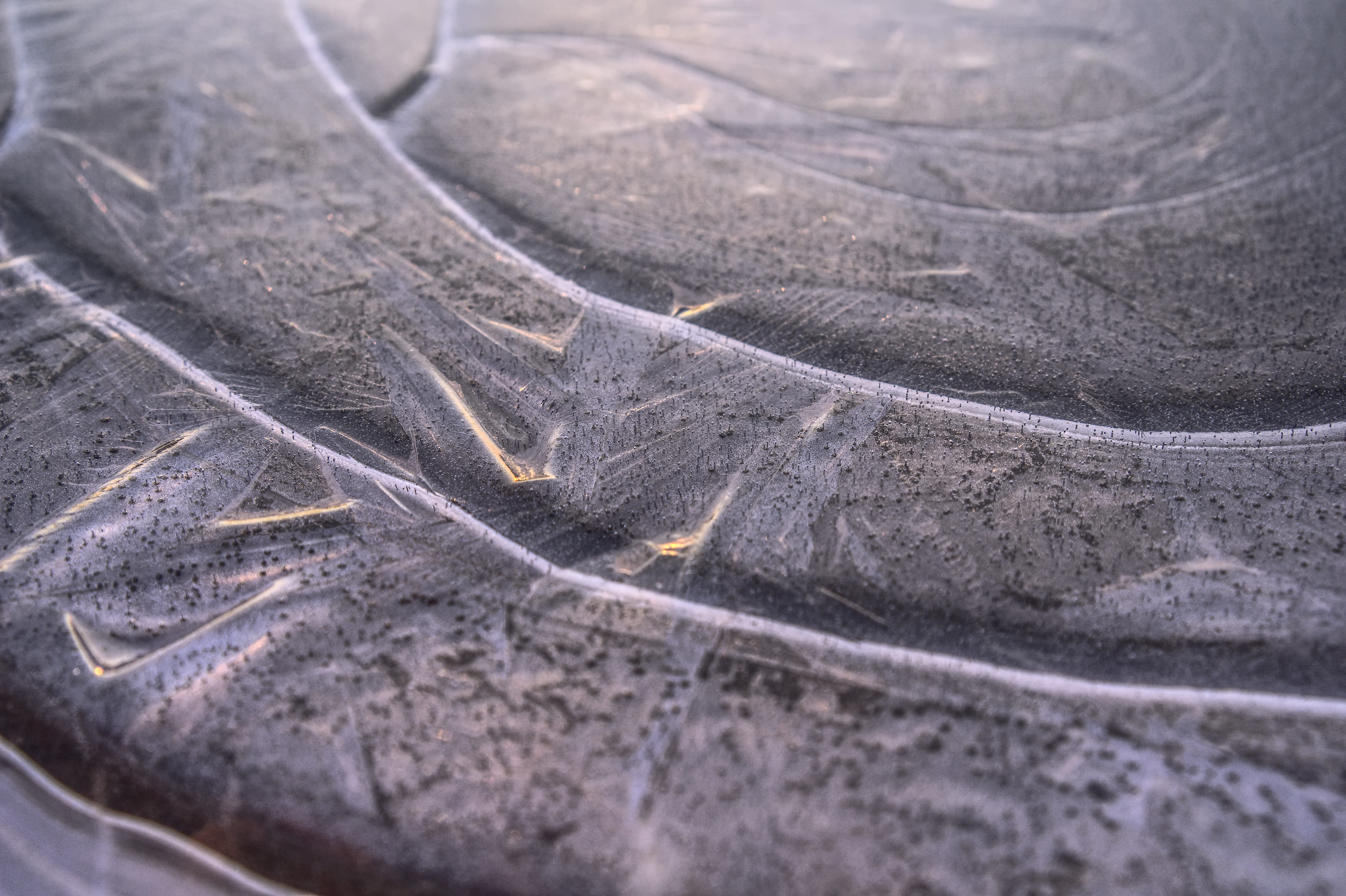 high dynamic range, waters, extreme close-up, pattern, frozen, ice rink, high angle view, backgrounds, reflection, structure, full frame, broken, close-up, HD Wallpaper
