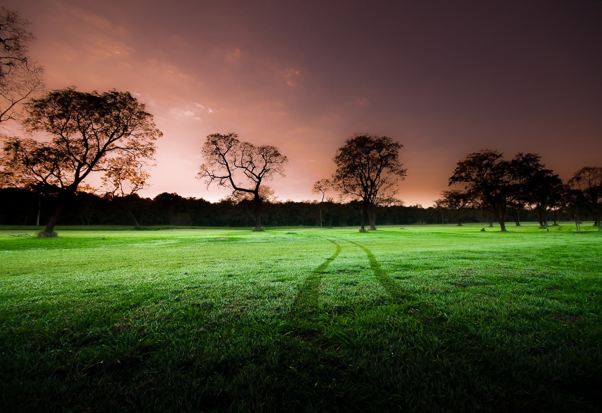 field, scenics, golf, scenics - nature, no People, rural Scene, lawn, green, environment, morning, cloud - sky, sun, nature, golf Course, cool, park - Man Made Space, HD Wallpaper