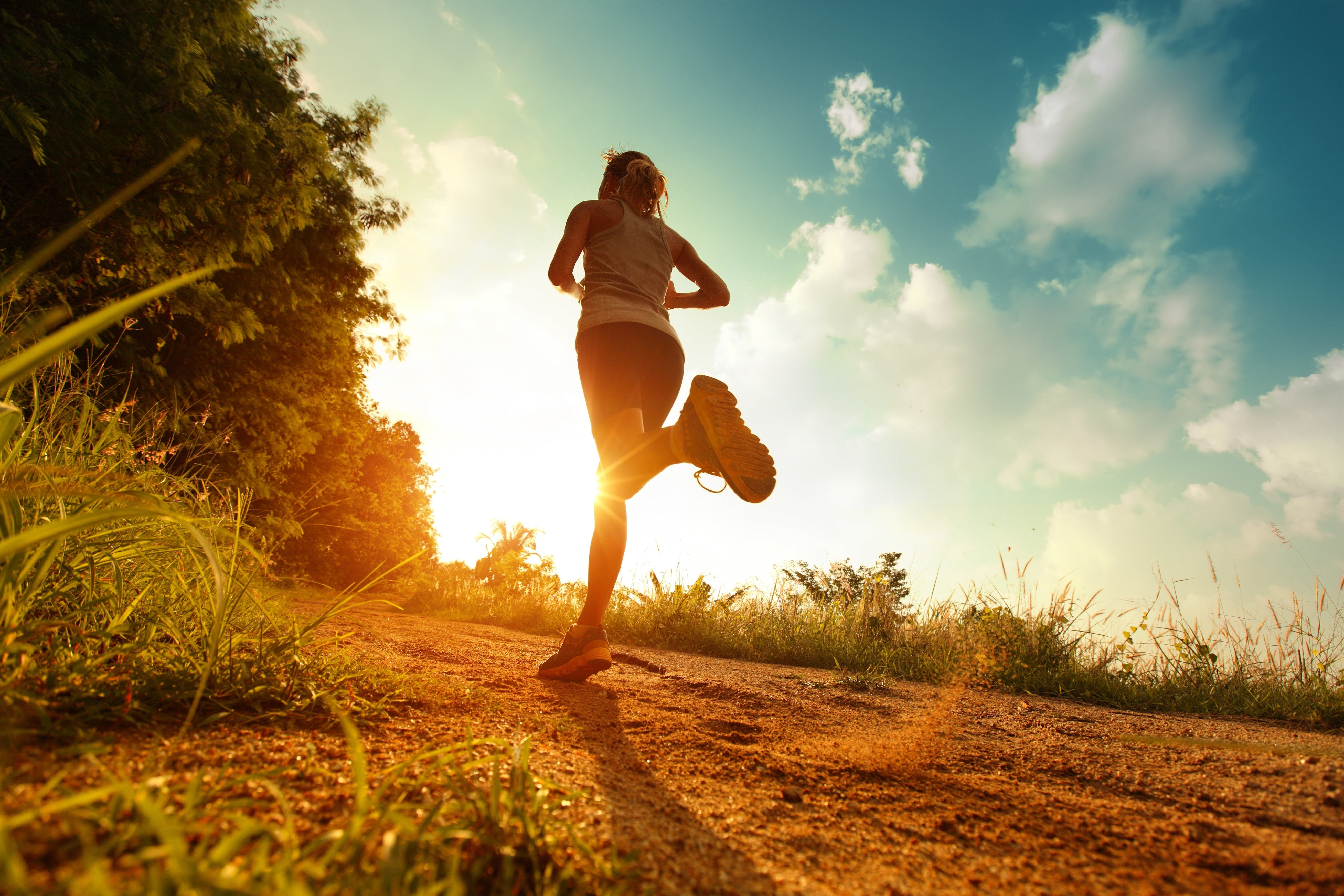 landscape, body conscious, exercising, sport, nature, beauty in nature, land, leisure activity, young adult, sunset, green, one person, outdoors, plant, HD Wallpaper