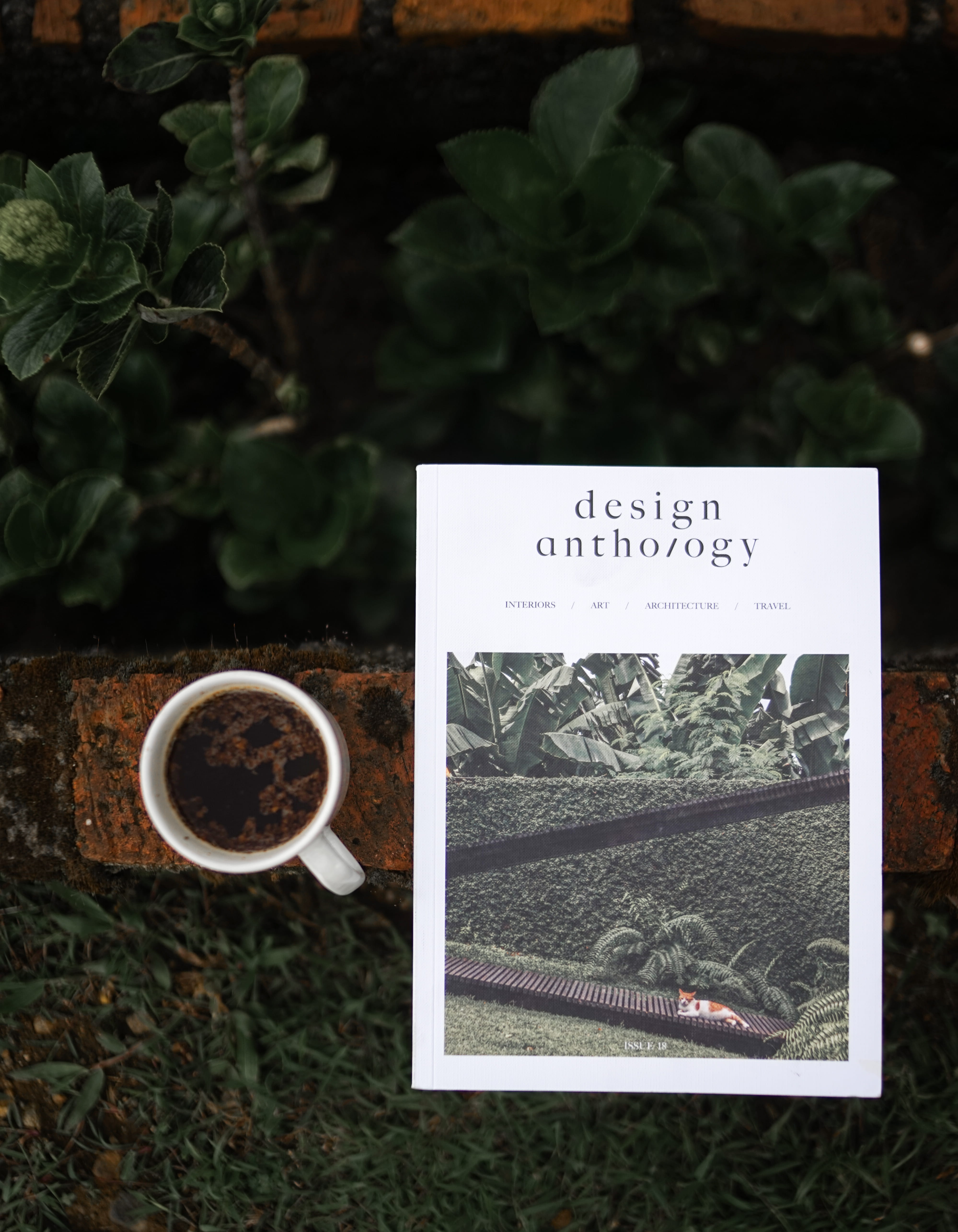 pottery, western script, directly above, coffee cup, soil, text, tea cup, table, magazine book, advertisement, magazine, drink, high angle view, vase, jar, Phone HD Wallpaper