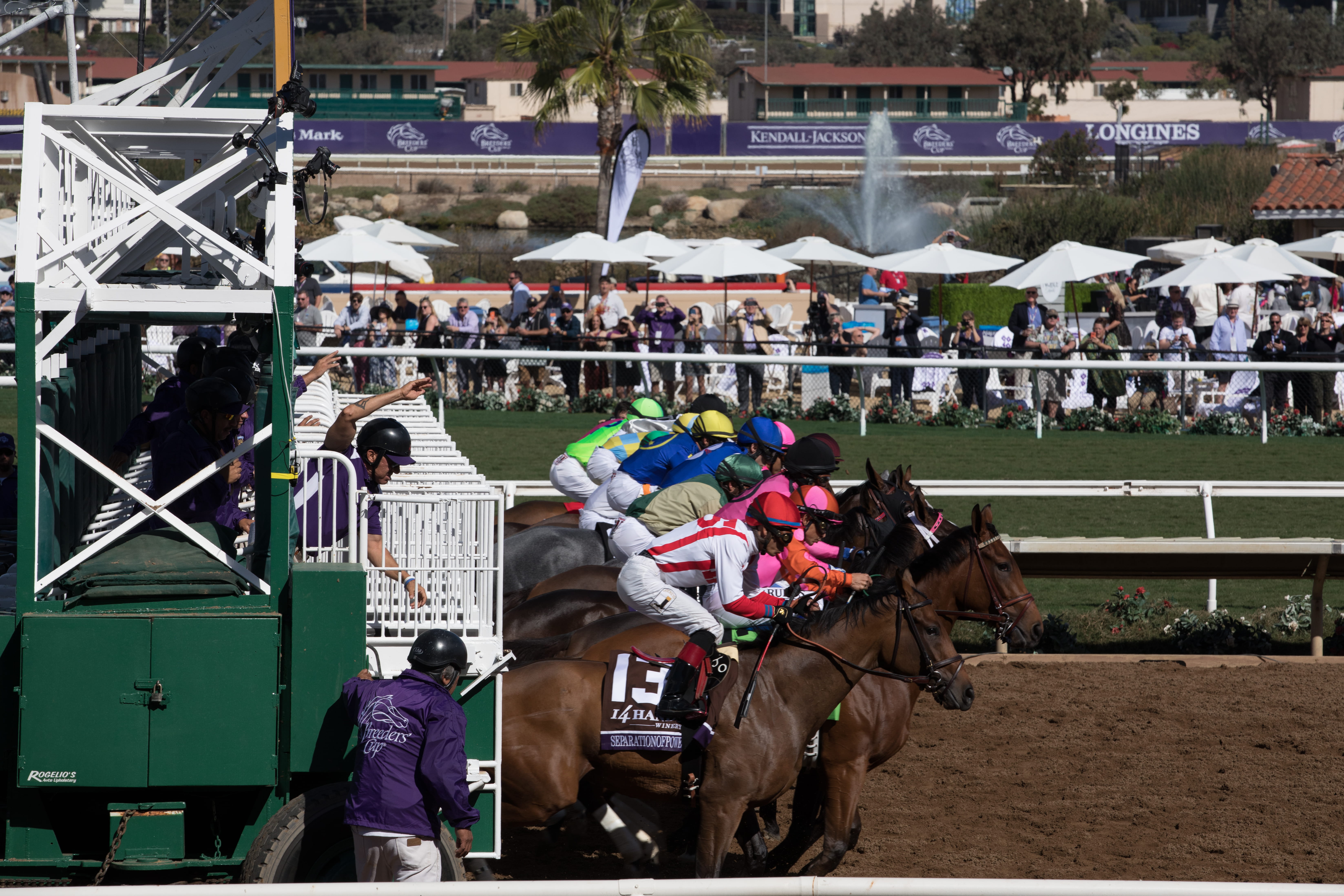 vertebrate, del mar thoroughbred club, mammal, 5K, men, group of people, starting gate, thoroughbred, outdoors, united states, jockeys, pets, day, herbivorous, HD Wallpaper