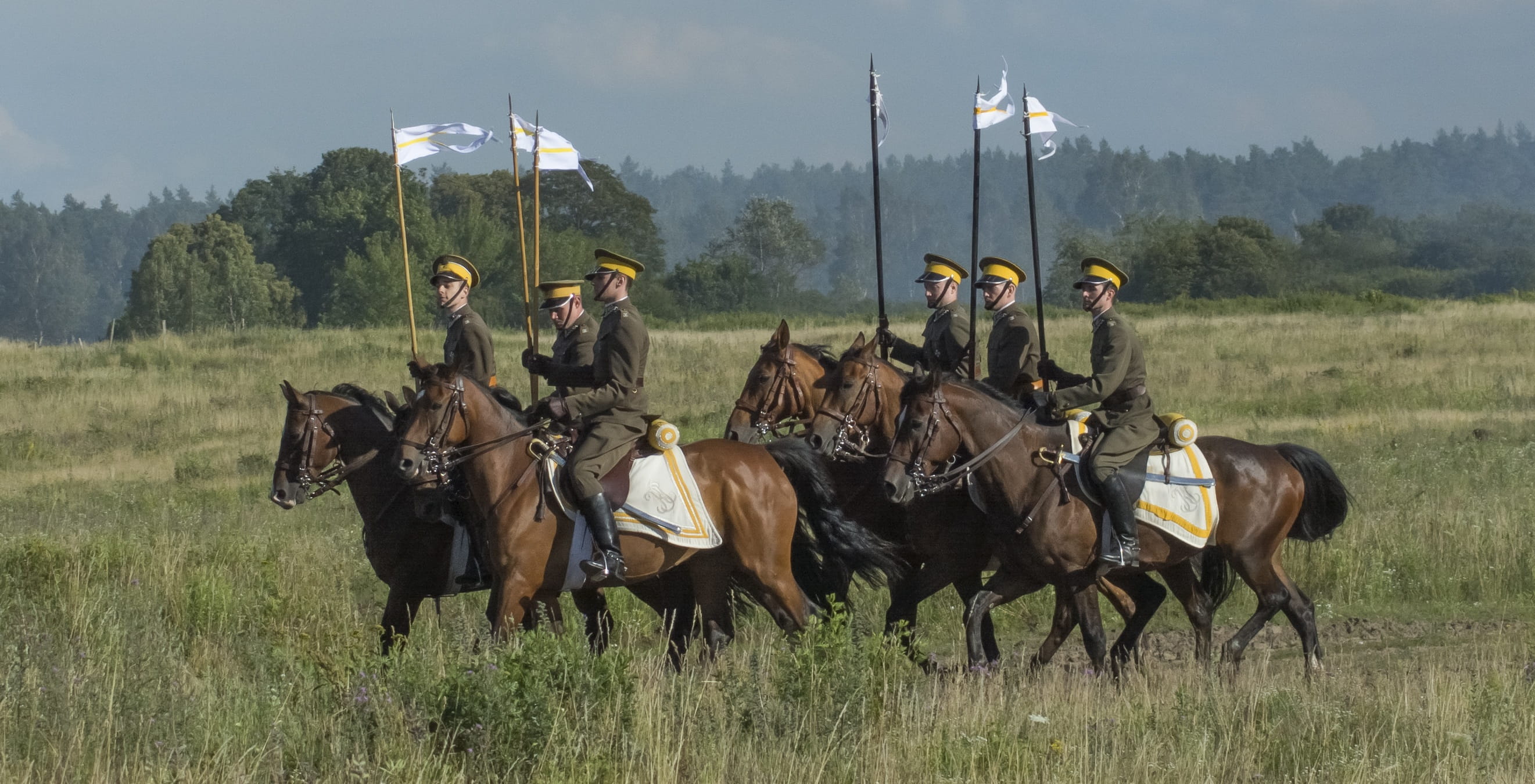 plant, history, steed, outdoors, domestic animals, domestic, landscape, the army, the horse, livestock, Horses, cavalryman, 2K, riding, the military, pets, HD Wallpaper