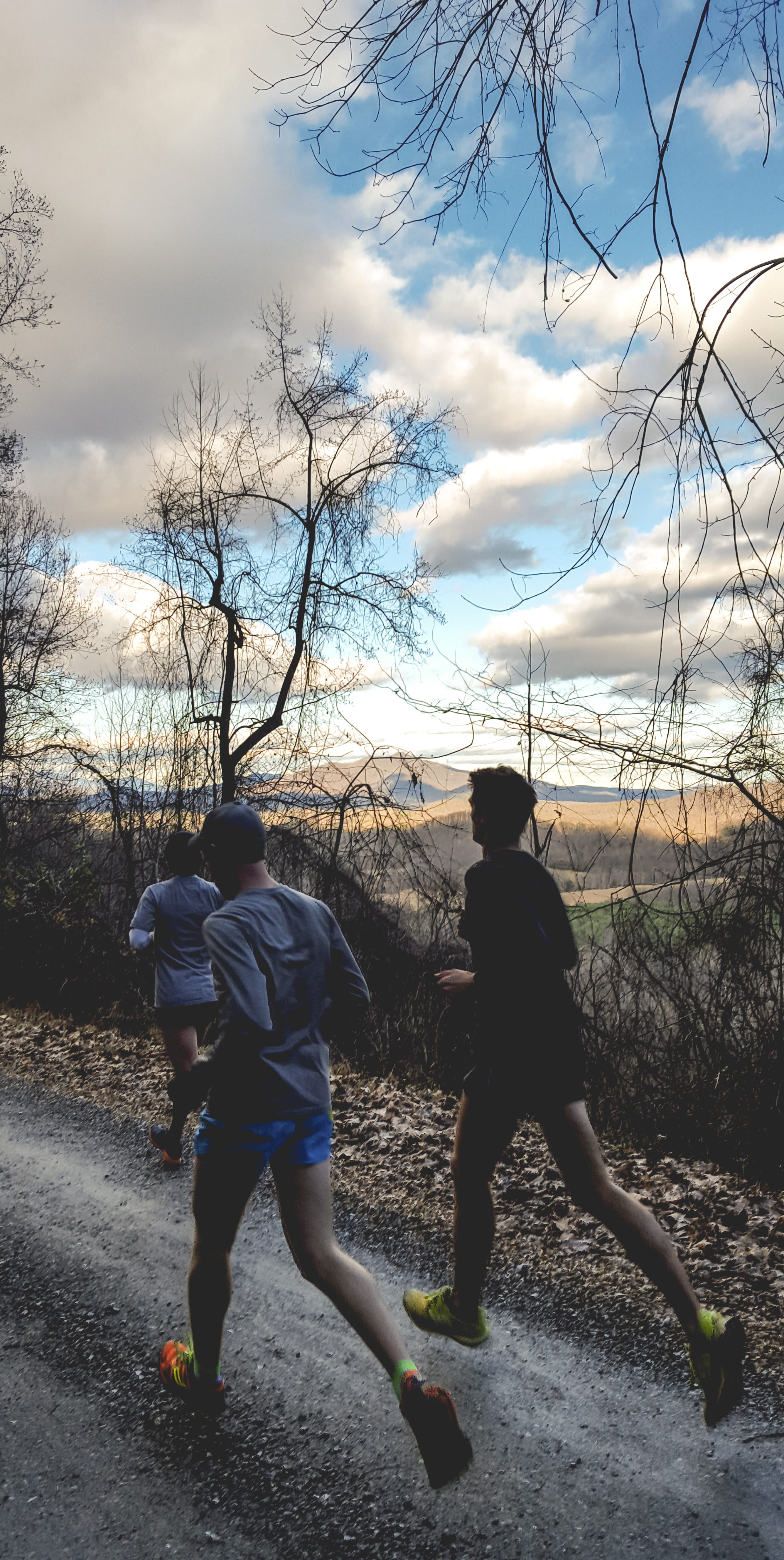 leisure activity, nature, bare tree, rear view, running, real people, fall, cloud - sky, outdoors, tree, bonding, full length, two people, cross country, Phone HD Wallpaper
