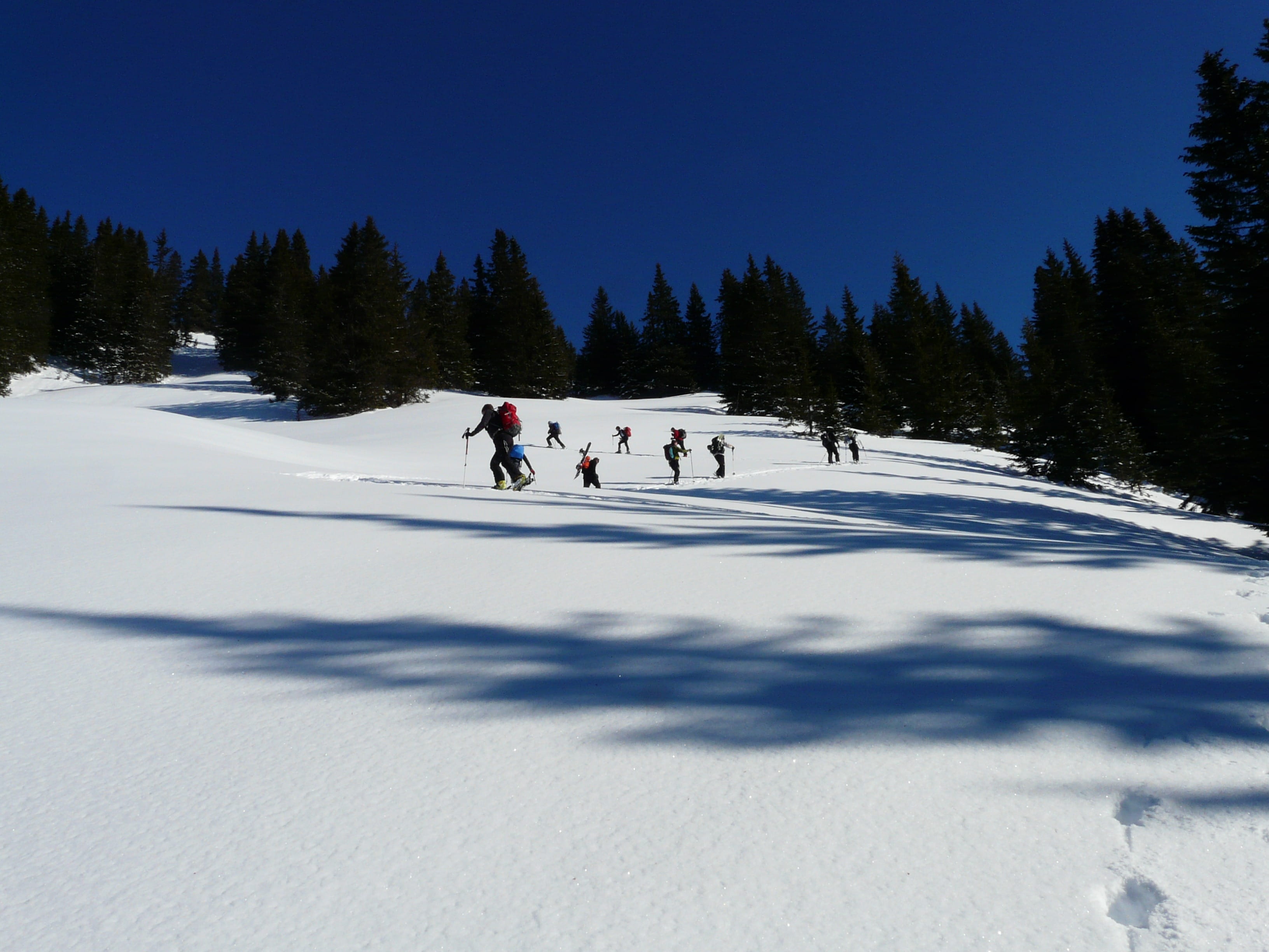 cross-country Skiing, snow, rise, backcountry skiiing, shadow, skiing, outdoors, people, wintry, Backcountry, nature, sky, scenics - nature, pattern, plant, HD Wallpaper