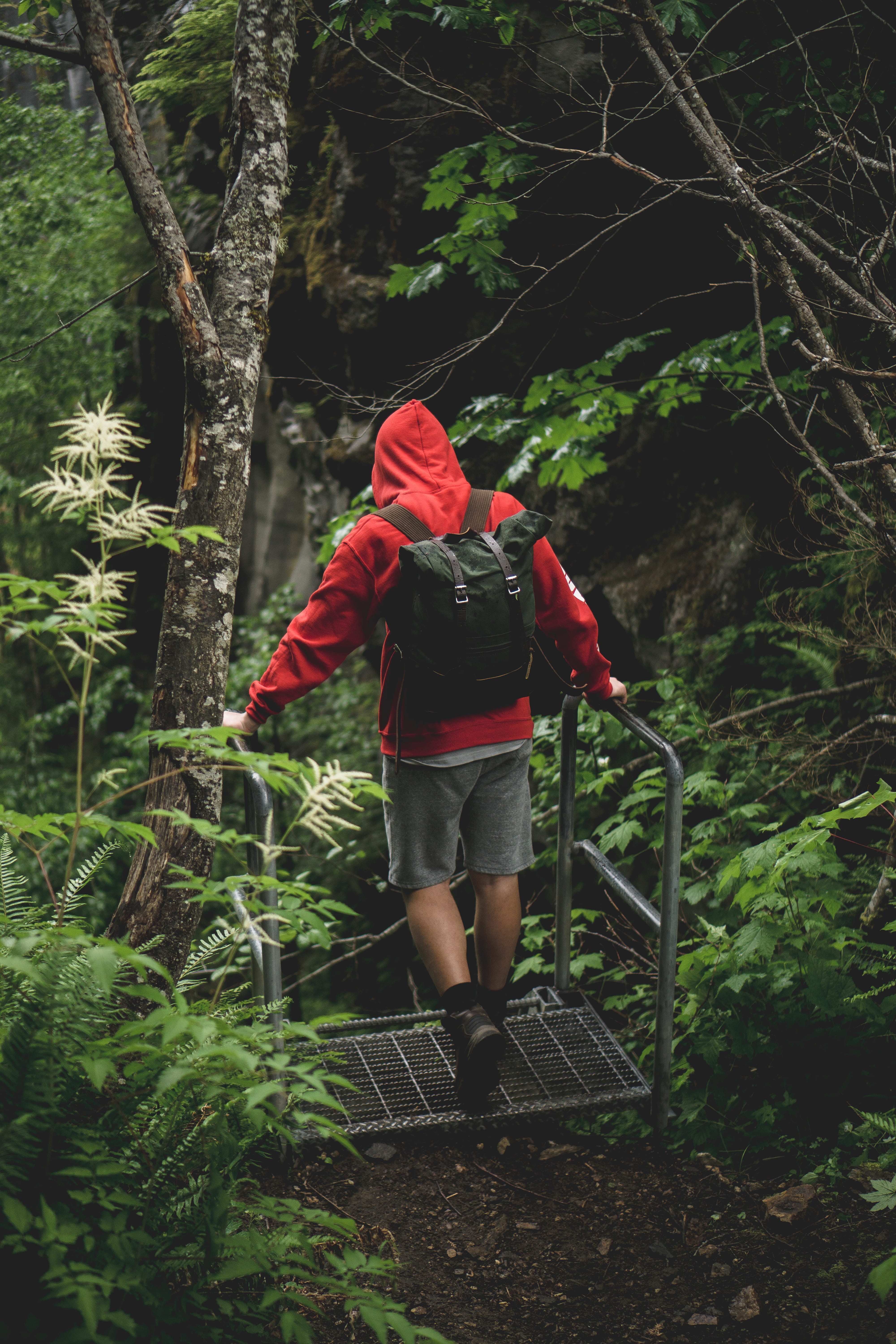 journey, hoodie, men, mountain, tree, adult, wander, females, running, black Color, wanderlust, green Color, women, athlete, young Adult, motion, forest, Phone HD Wallpaper