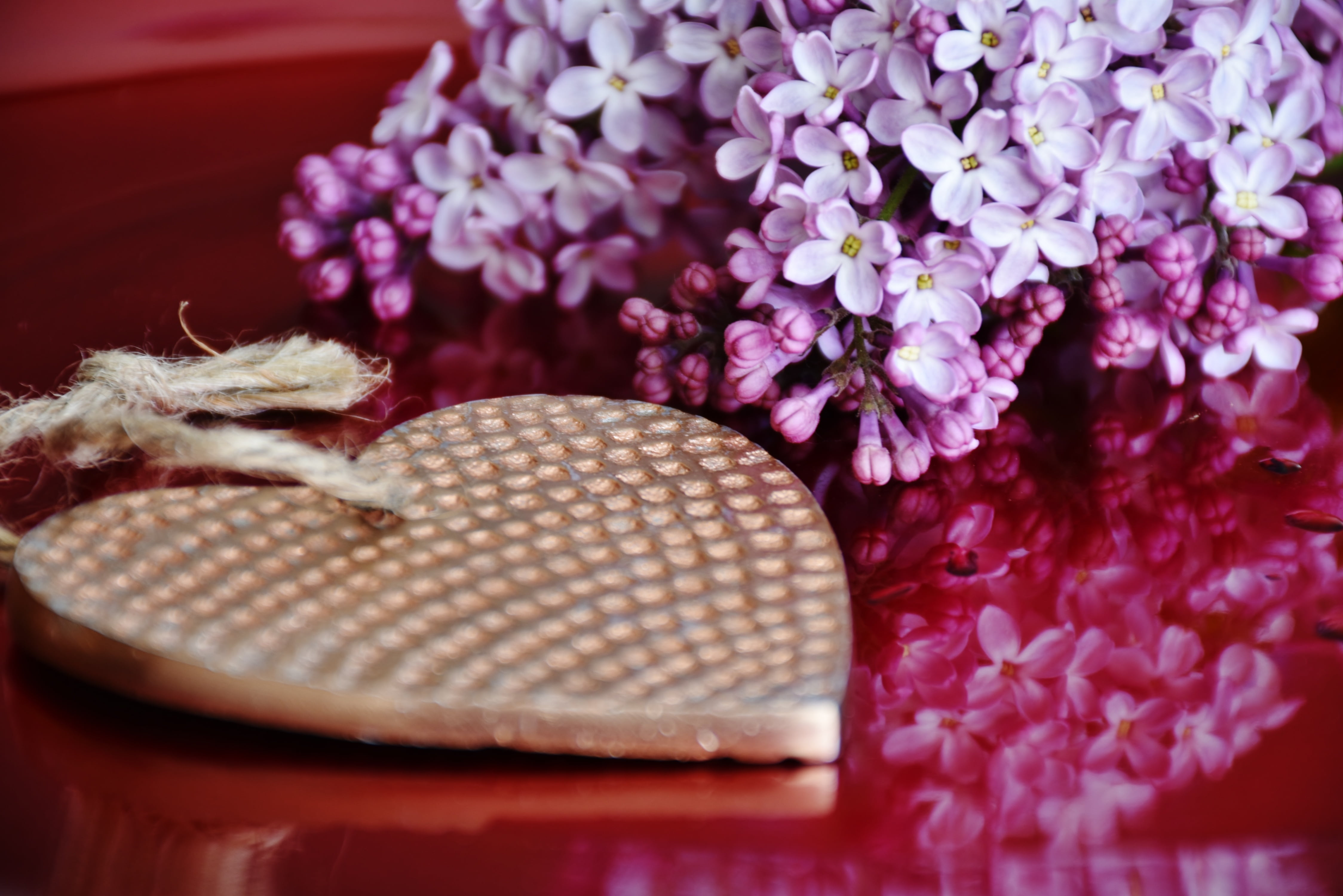 give away, gold, freshness, flower, purple, joy, mothers day, floral pattern, flower head, day, flowering plant, near, plant, lilac, pattern, close-up, HD Wallpaper