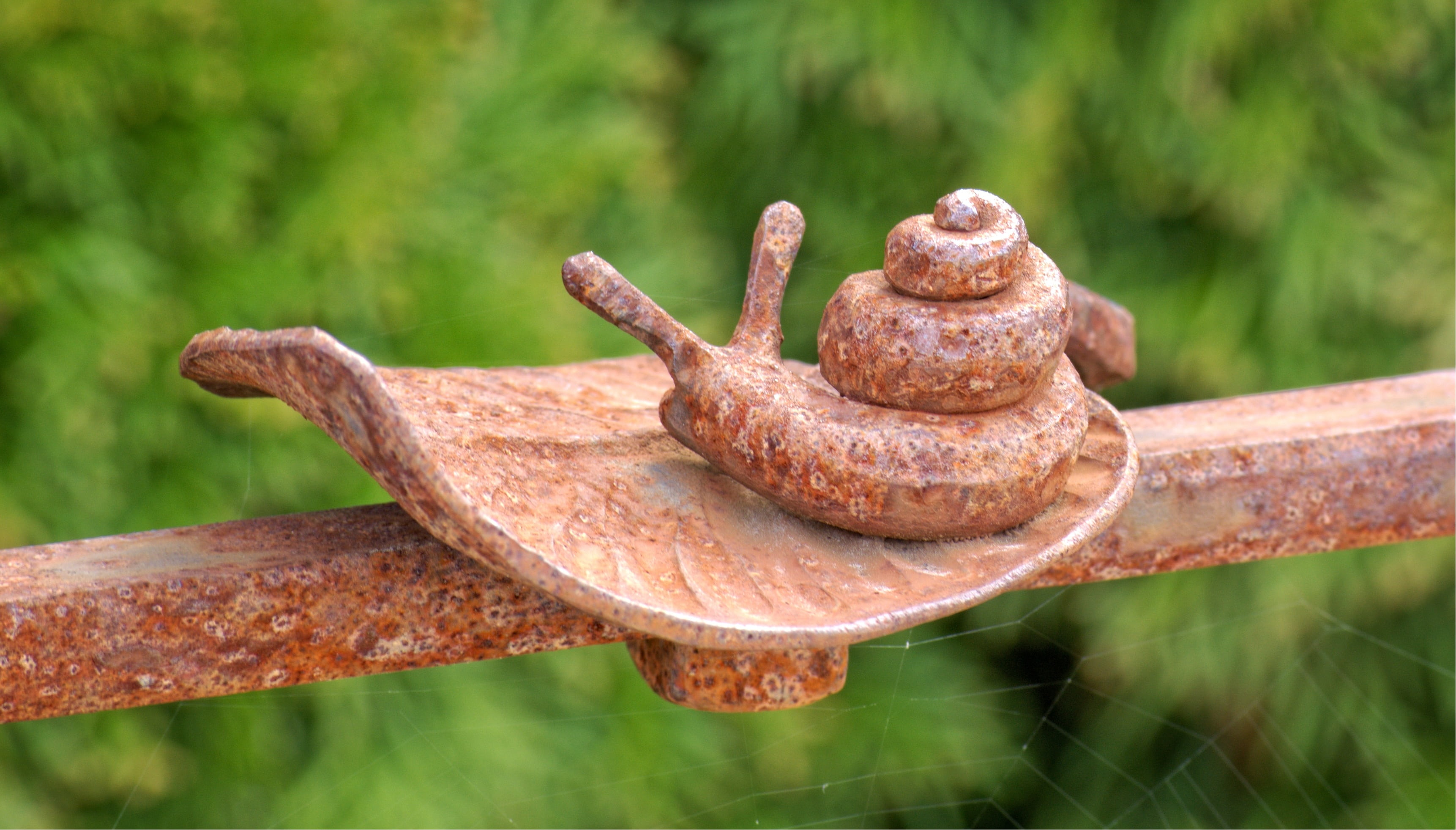 rusty, 2K, nature, outdoors, security, snail, ornament, safety, run-down, decorative, deterioration, railing, focus on foreground, leaf, close-up, metal, HD Wallpaper