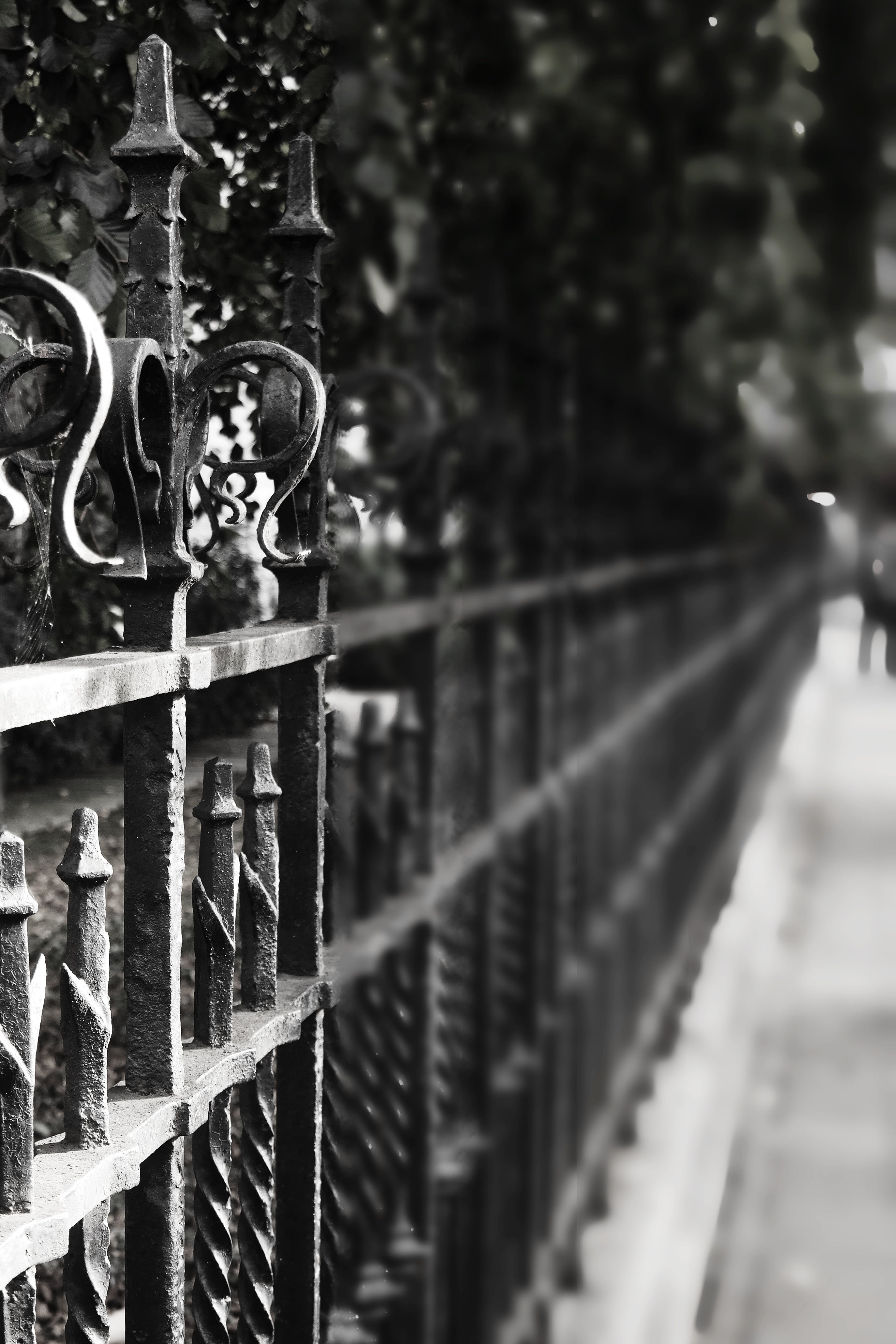 protection, iron construction, metal, security, fence, old, the way forward, artfully, metal fence, day, boundary, iron, grid, close-up, nature, no people, Phone HD Wallpaper